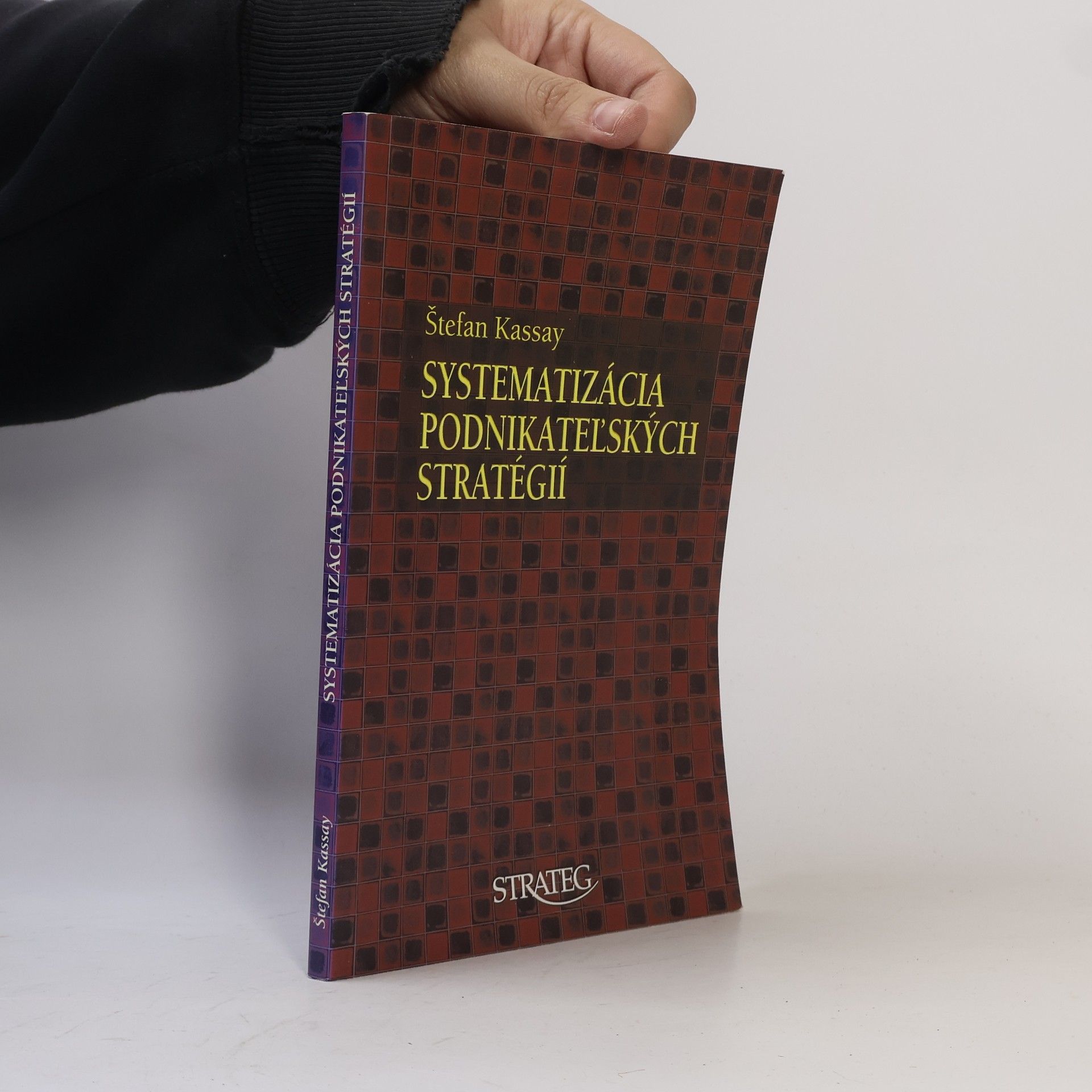 Štefan Kassay Systemizácia podnikateľských stratégií