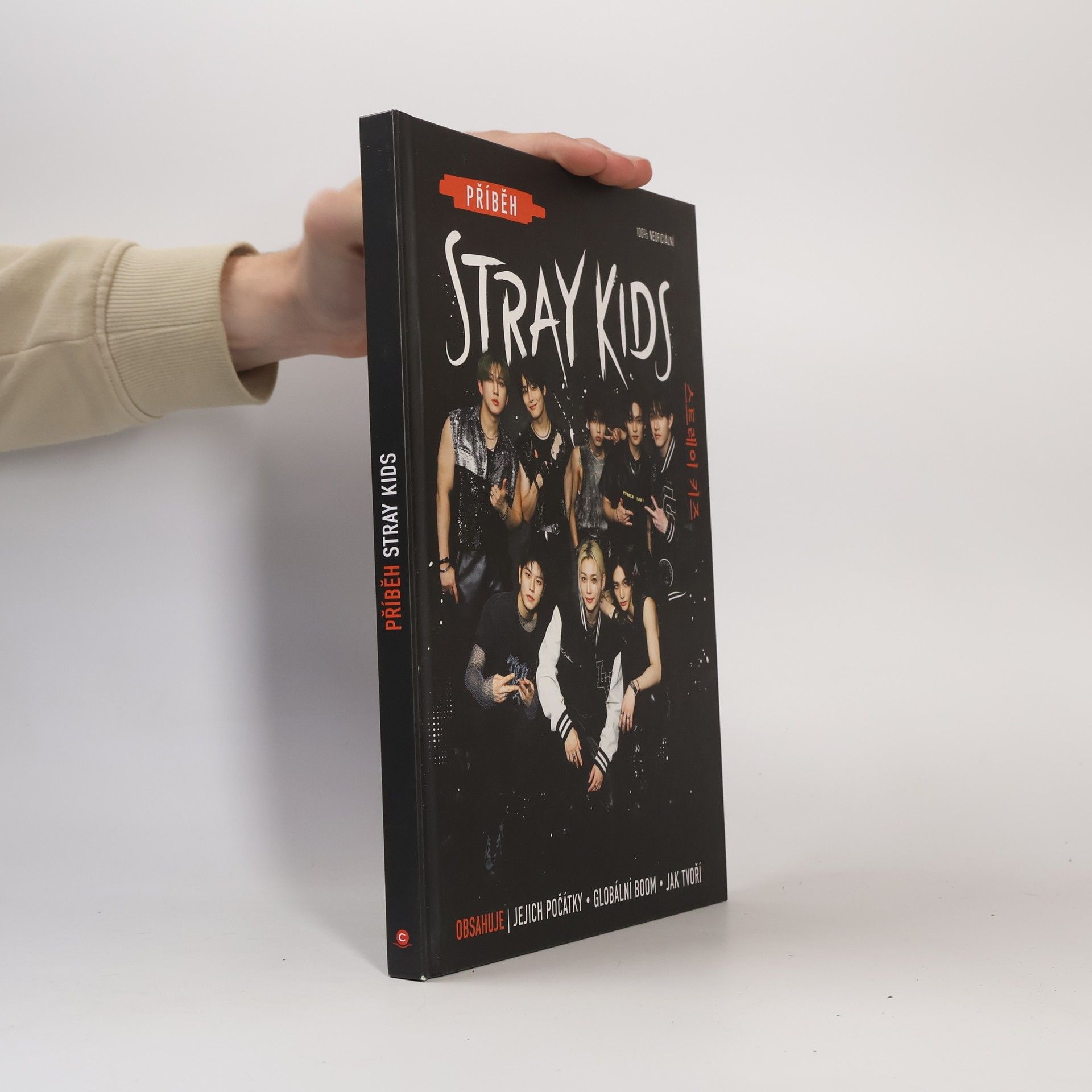 Příběh Stray Kids