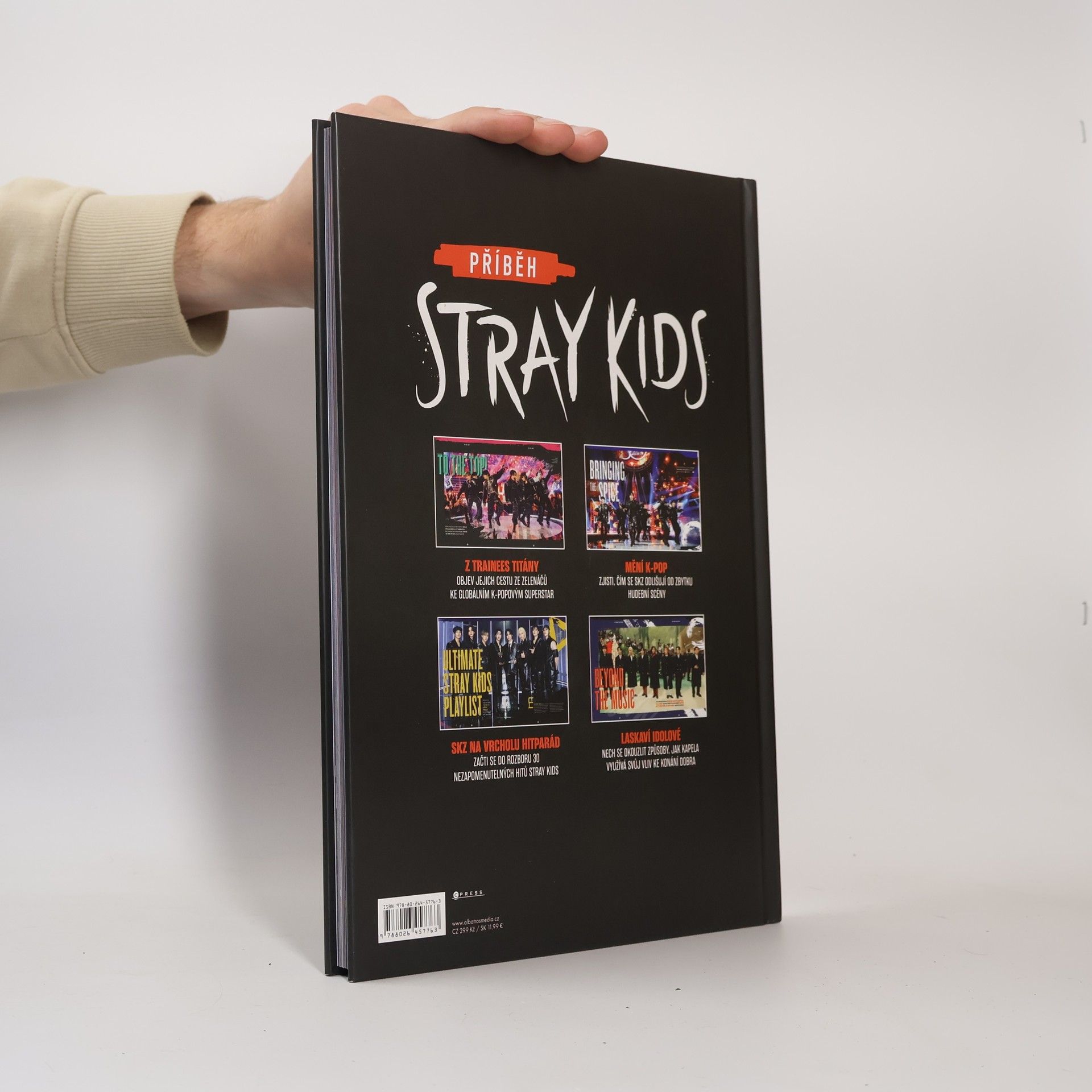 Kateřina Fried Příběh Stray Kids