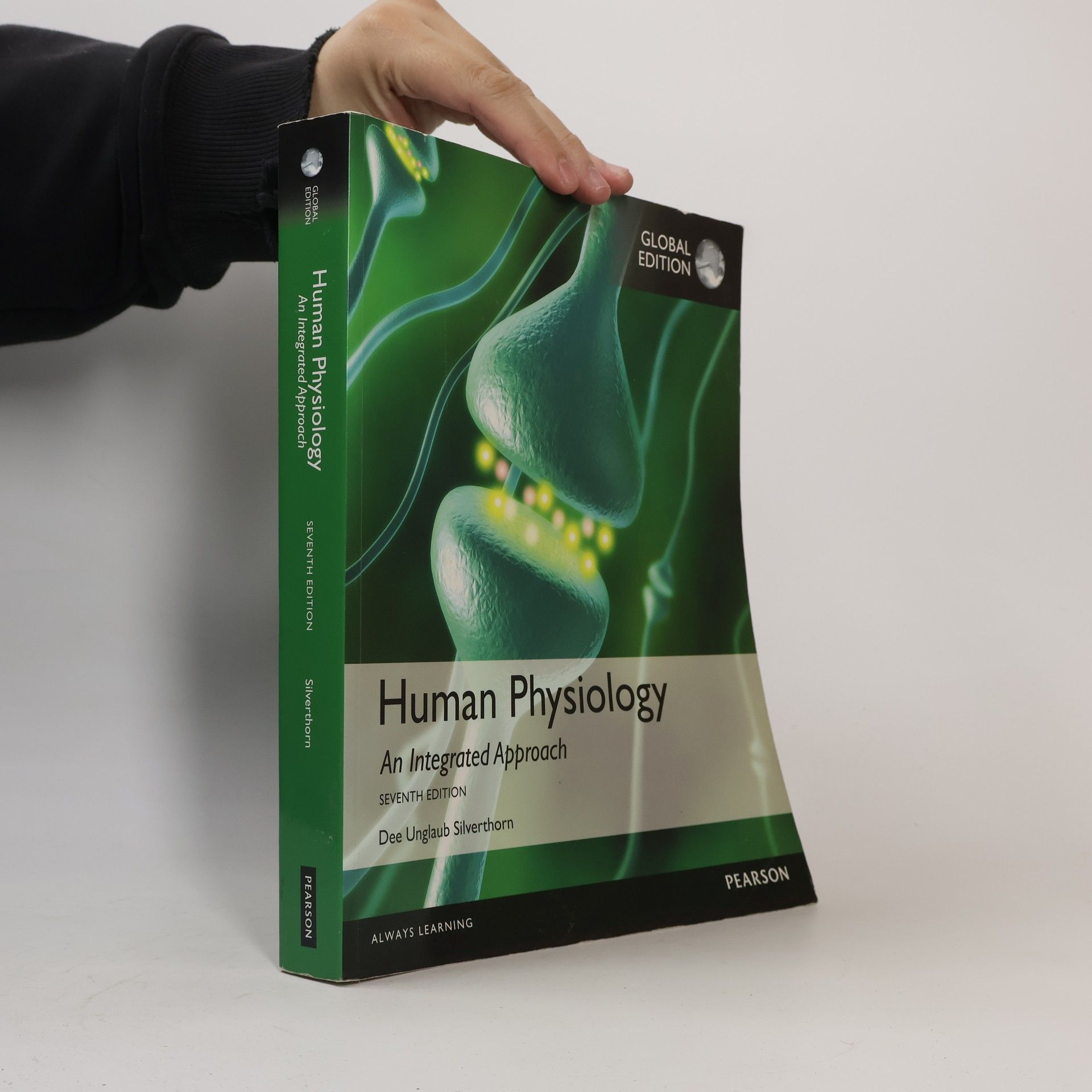 Unglaub Dee Silverthorn Human Physiology