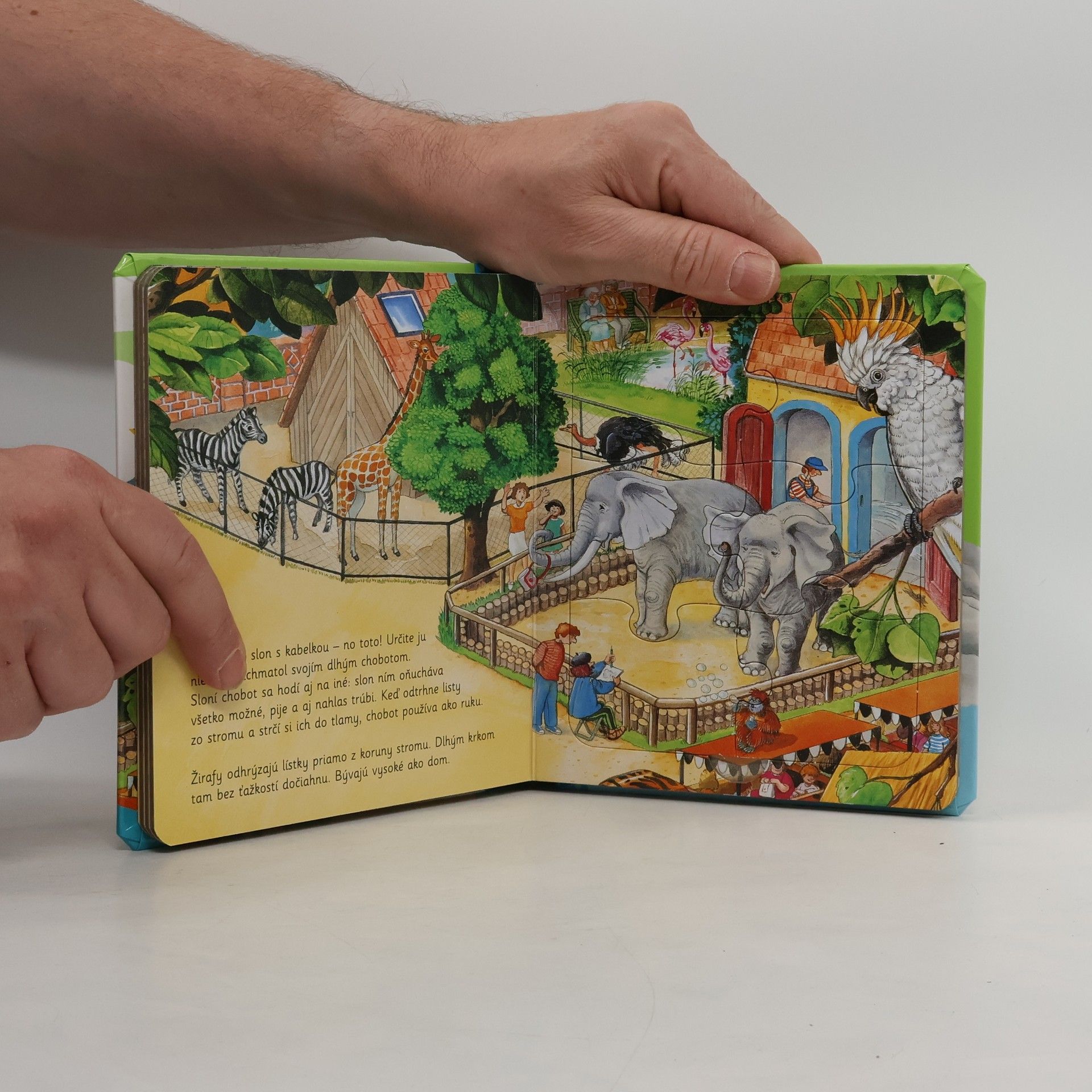 Autorenkollektiv V Zoo: Knižka s puzzle