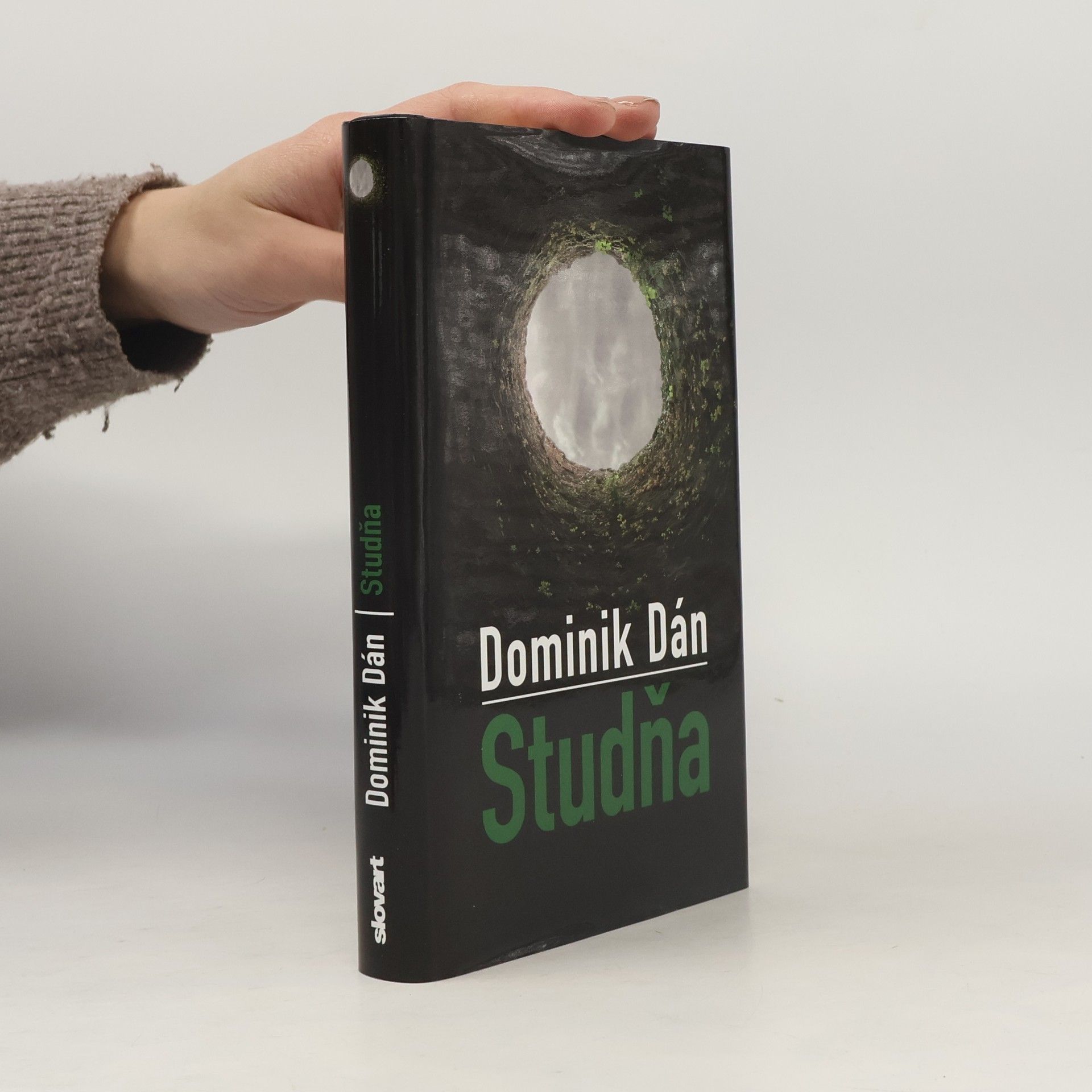 Dominik Dán Studňa