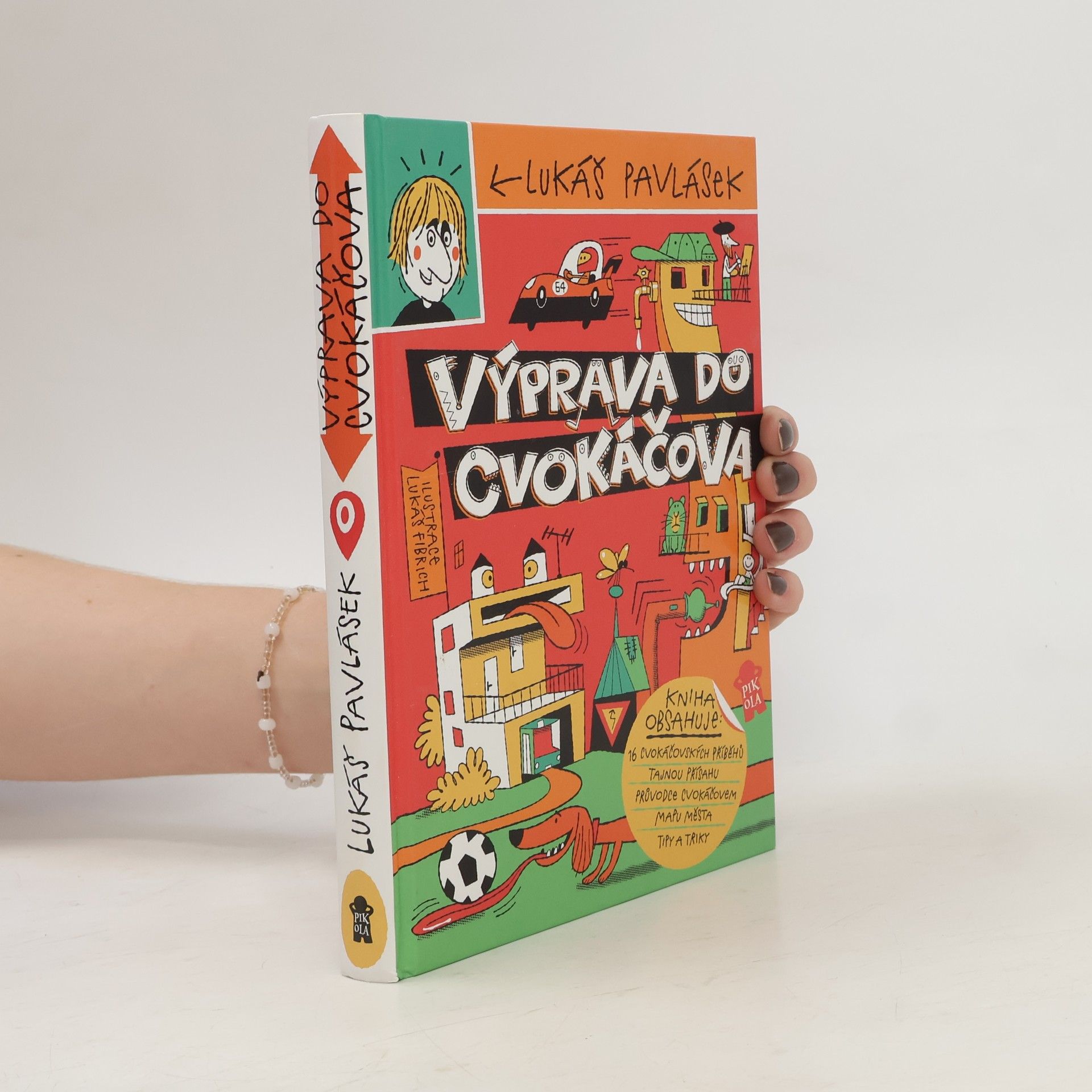 Výprava do Cvokáčova