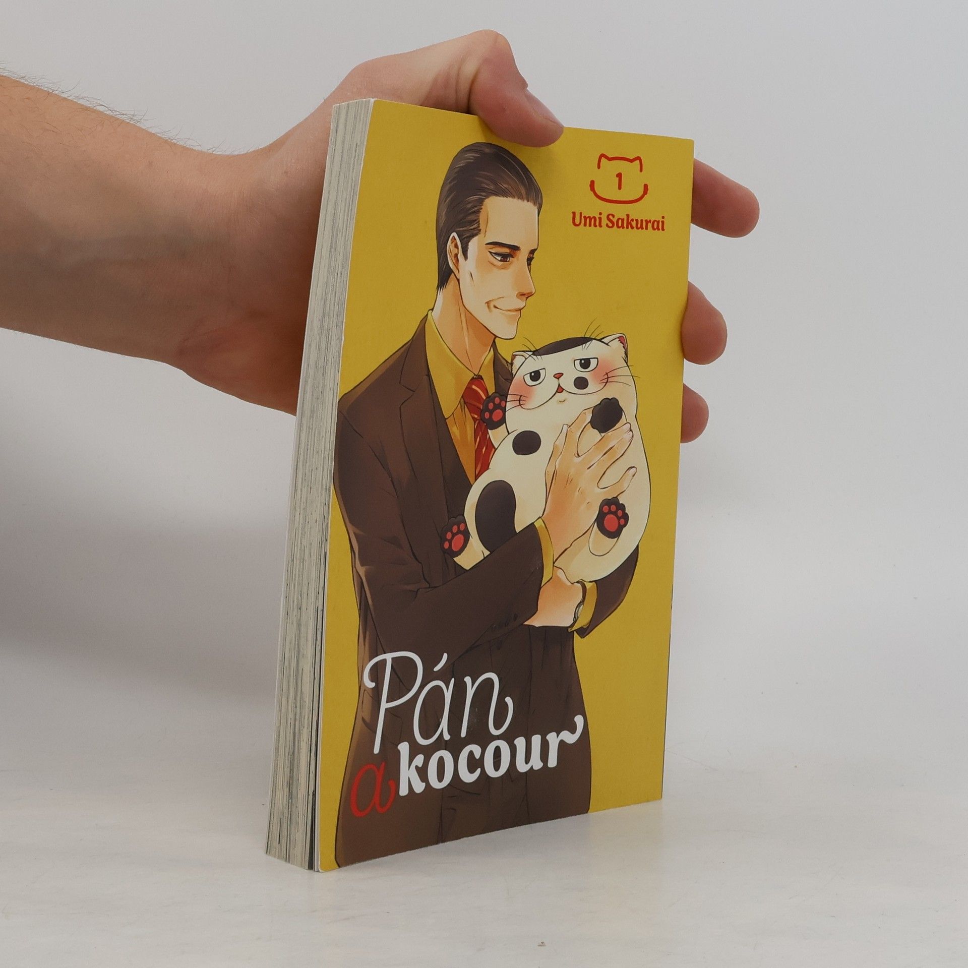 Umi Sakurai Pán a kocour 1