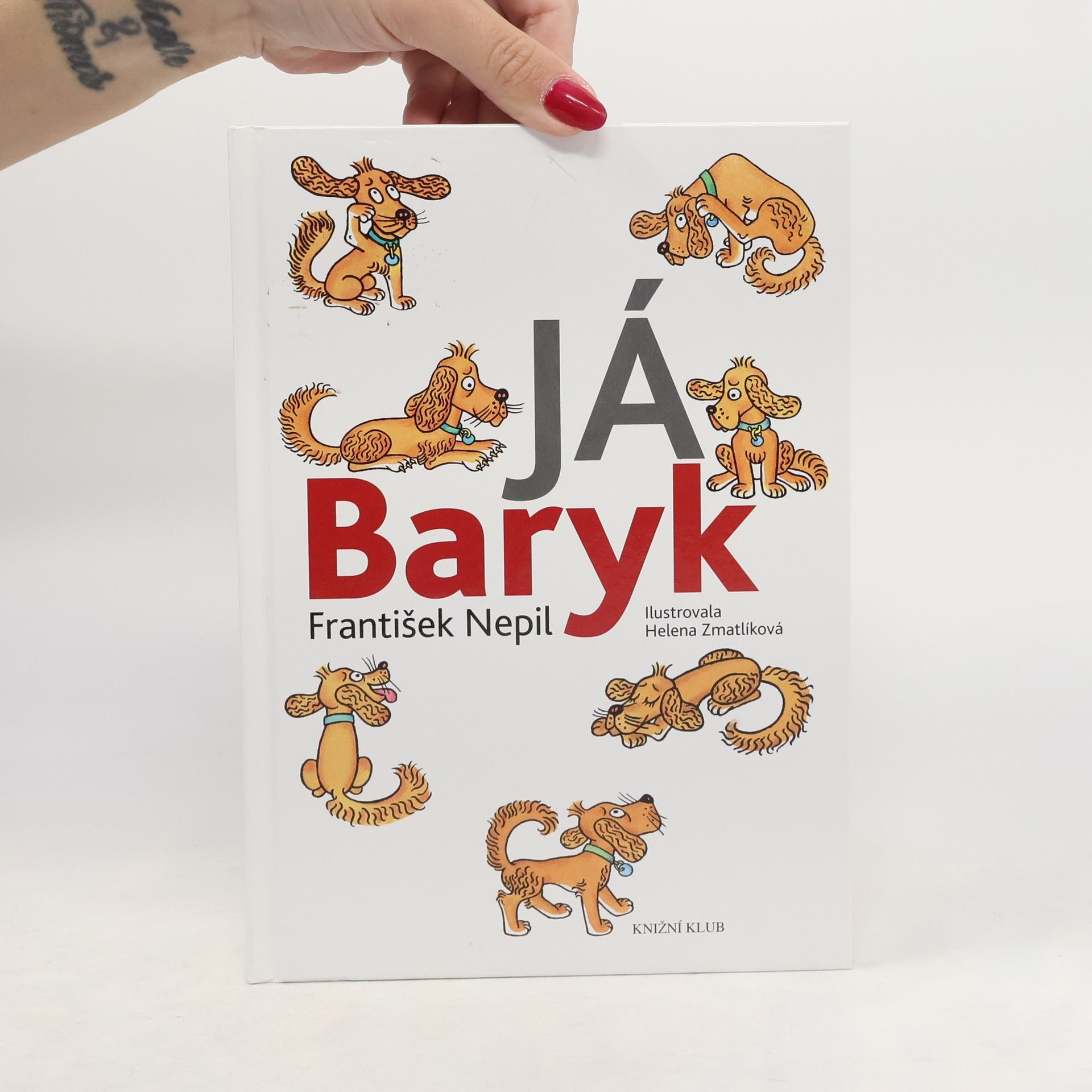 František Nepil Já, Baryk