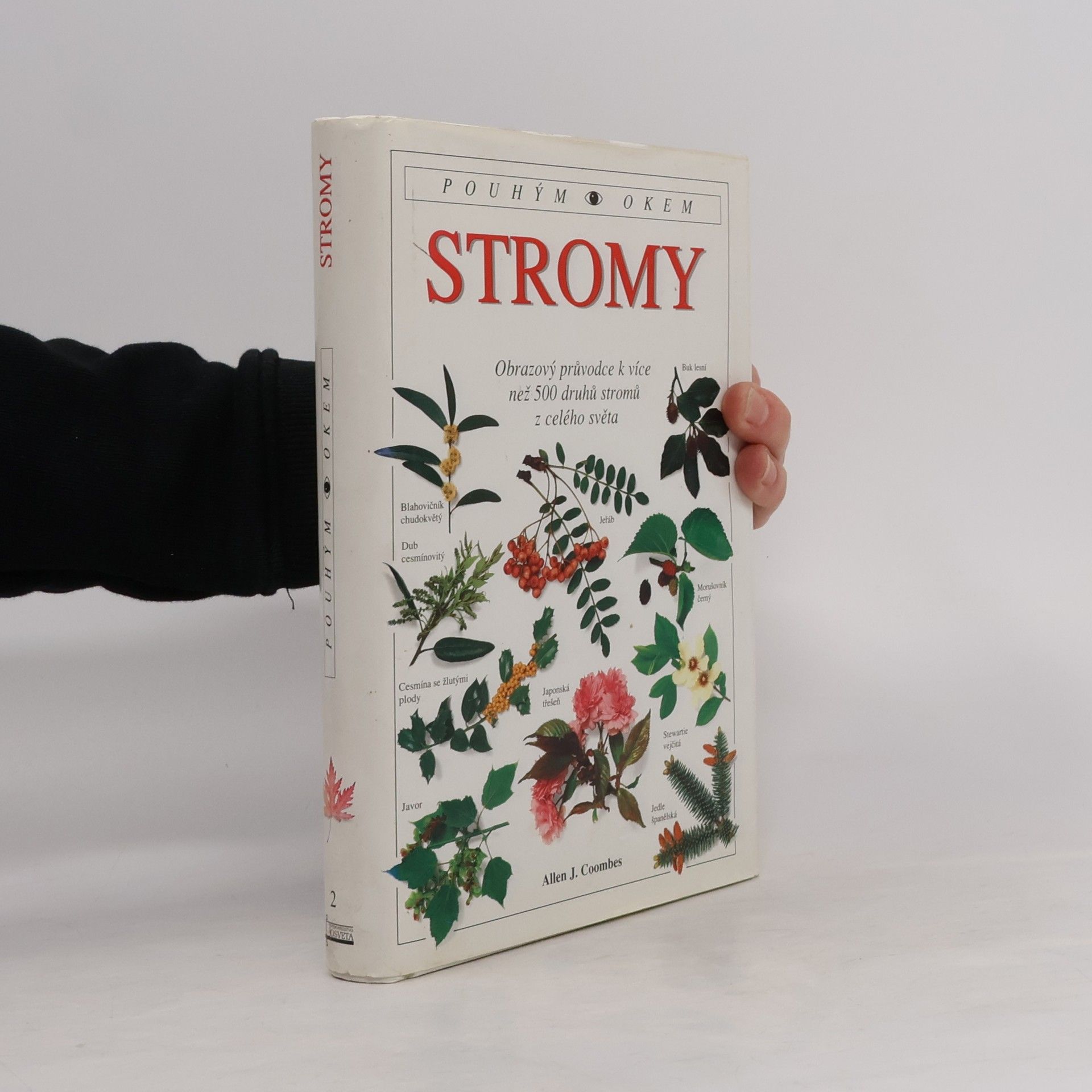 Allen J. Coombes Stromy