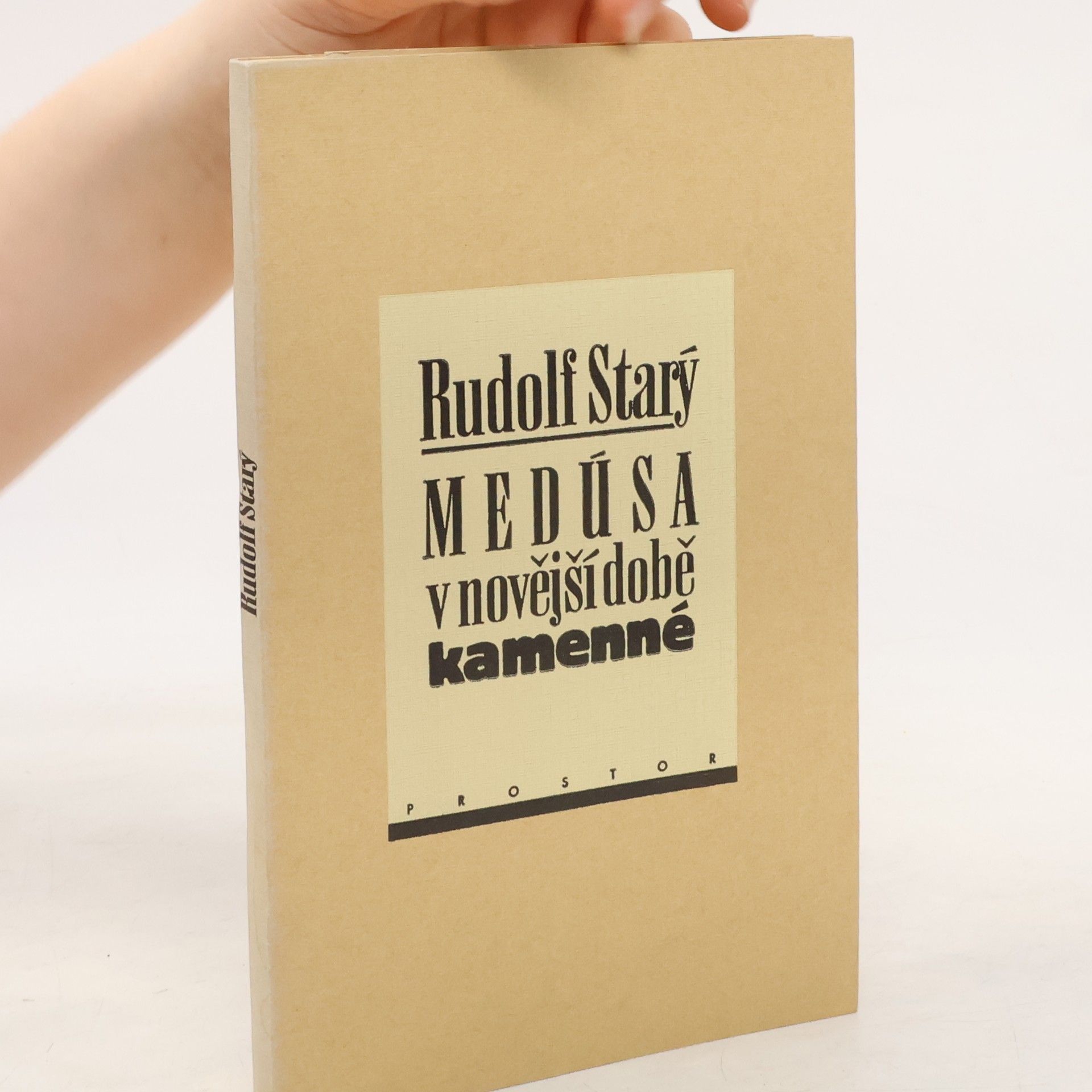 Medúsa v novější době kamenné : Výbor z esejů 1976-1987