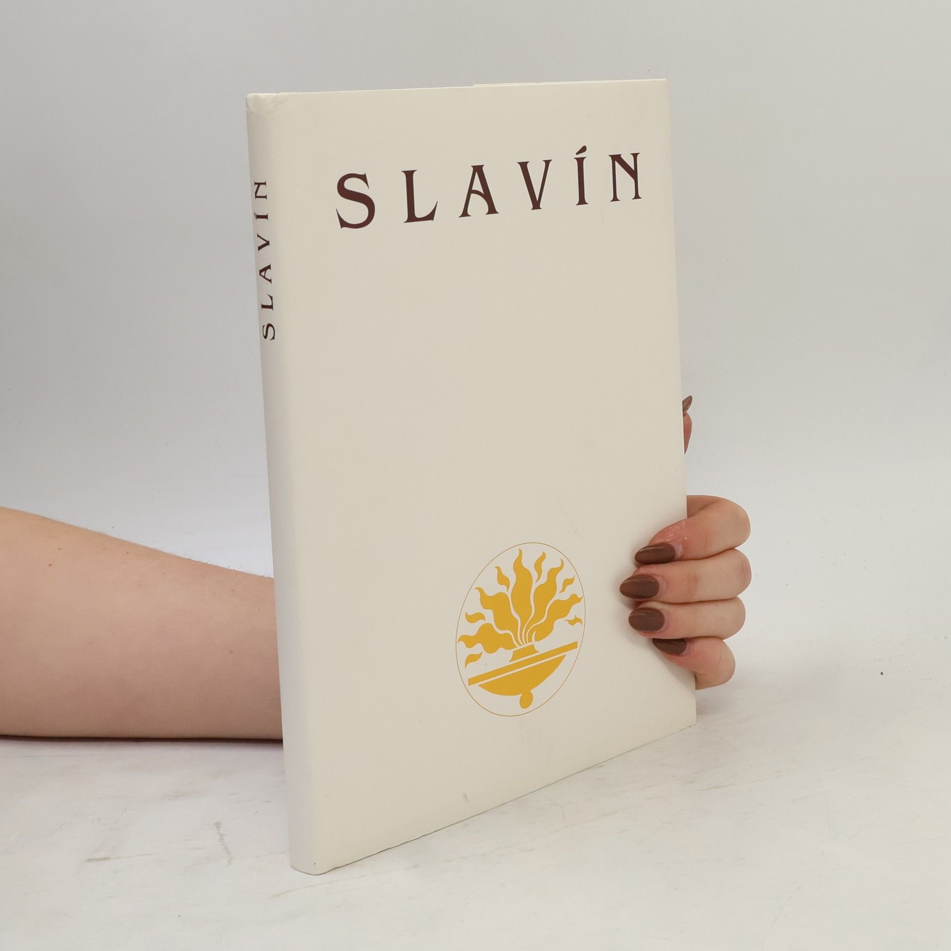 Václav Liška Slavín - Zpráva o rekonstrukci
