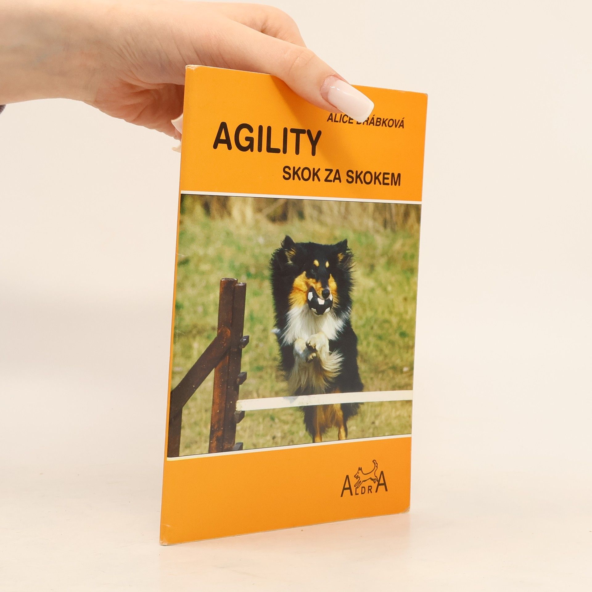 Alice Drábková Agility skok za skokem