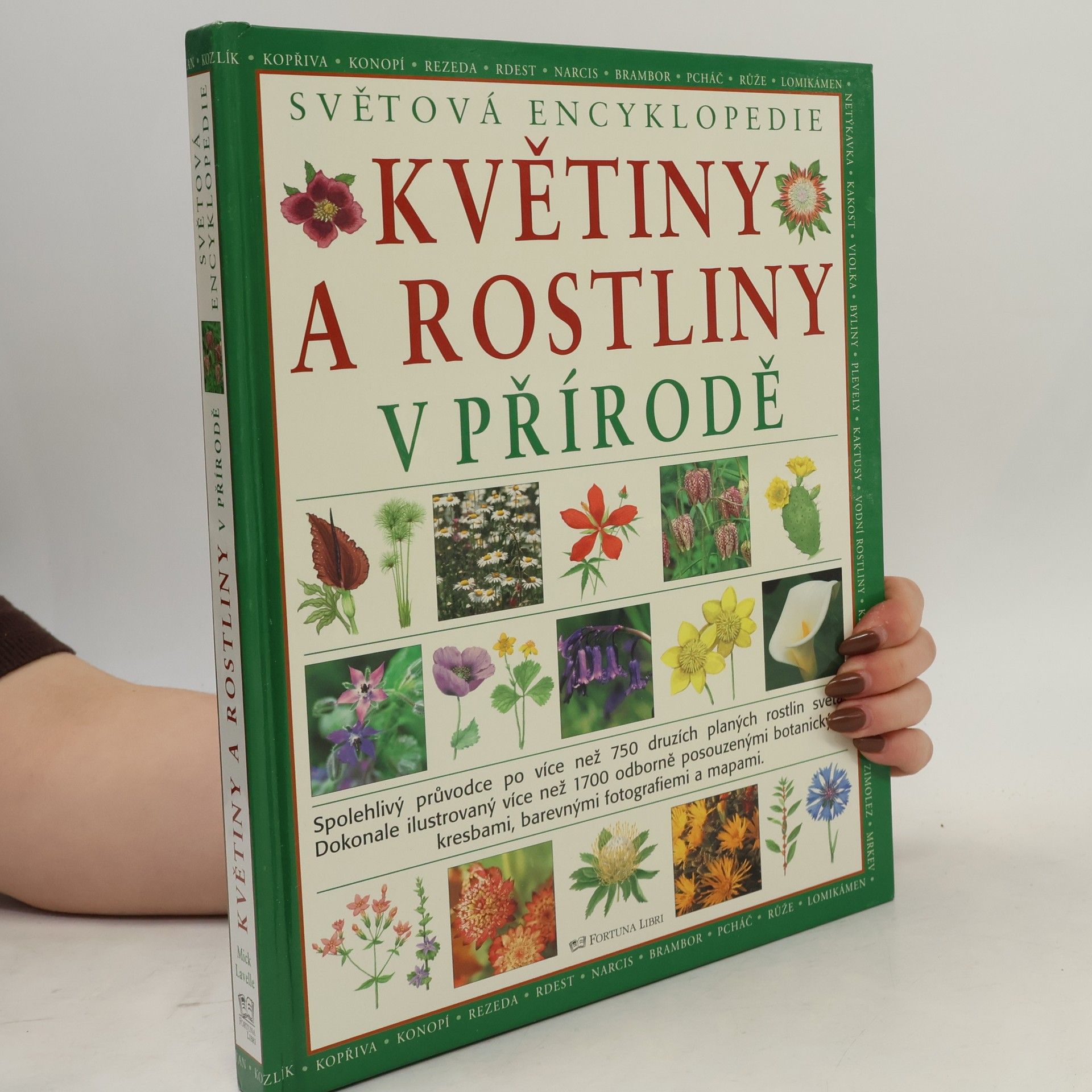 Mike Atkinson Květiny a rostliny v přírodě