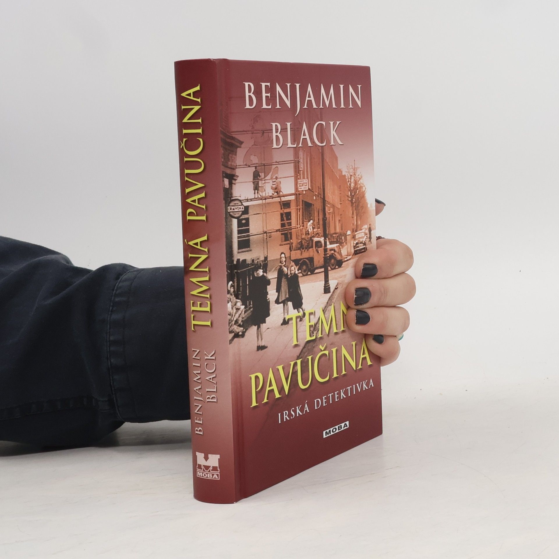 John Banville Temná pavučina