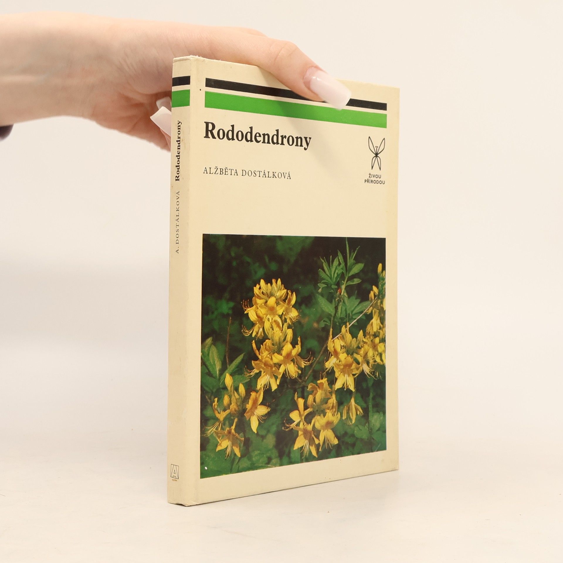 Alžběta Dostálková Rododendrony