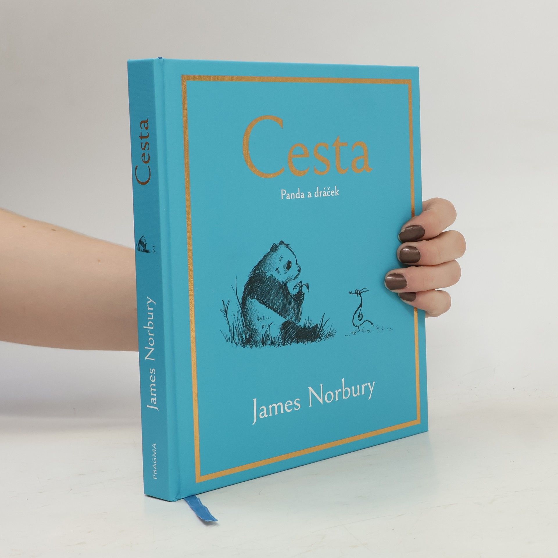 James Norbury Cesta. Panda a dráček