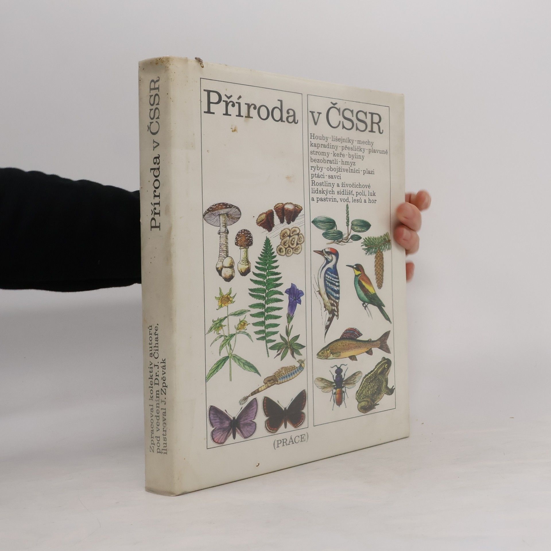 Autores varios Příroda v ČSSR