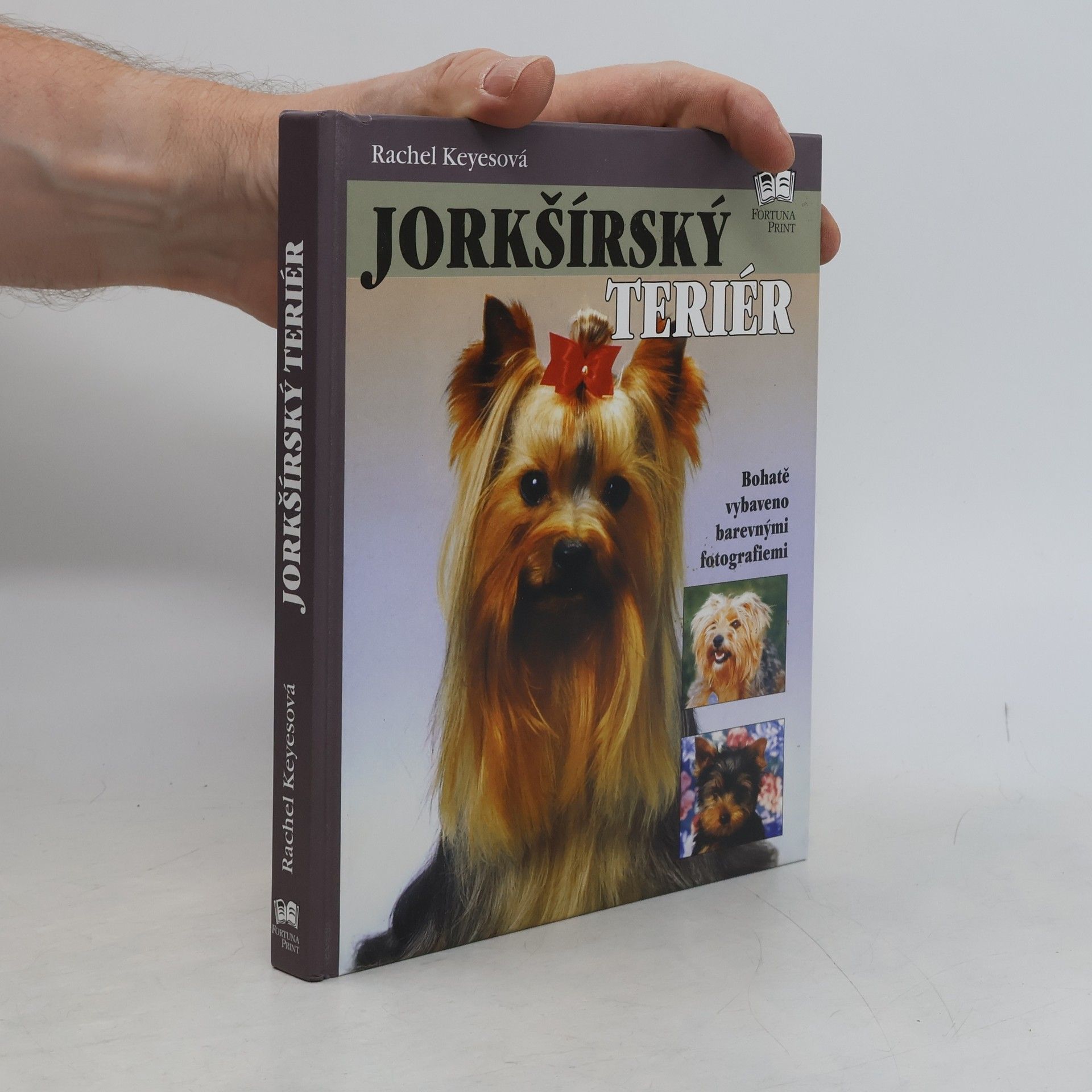 Rachel Keyes Jorkšírský teriér