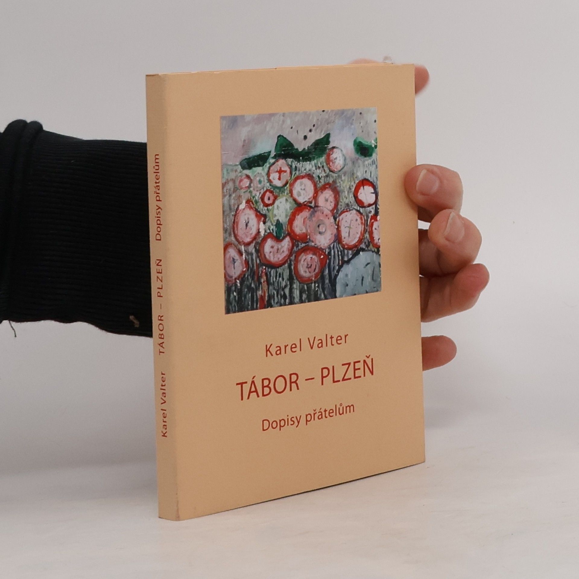 Karel Valter Tábor - Plzeň. Dopisy přátelům