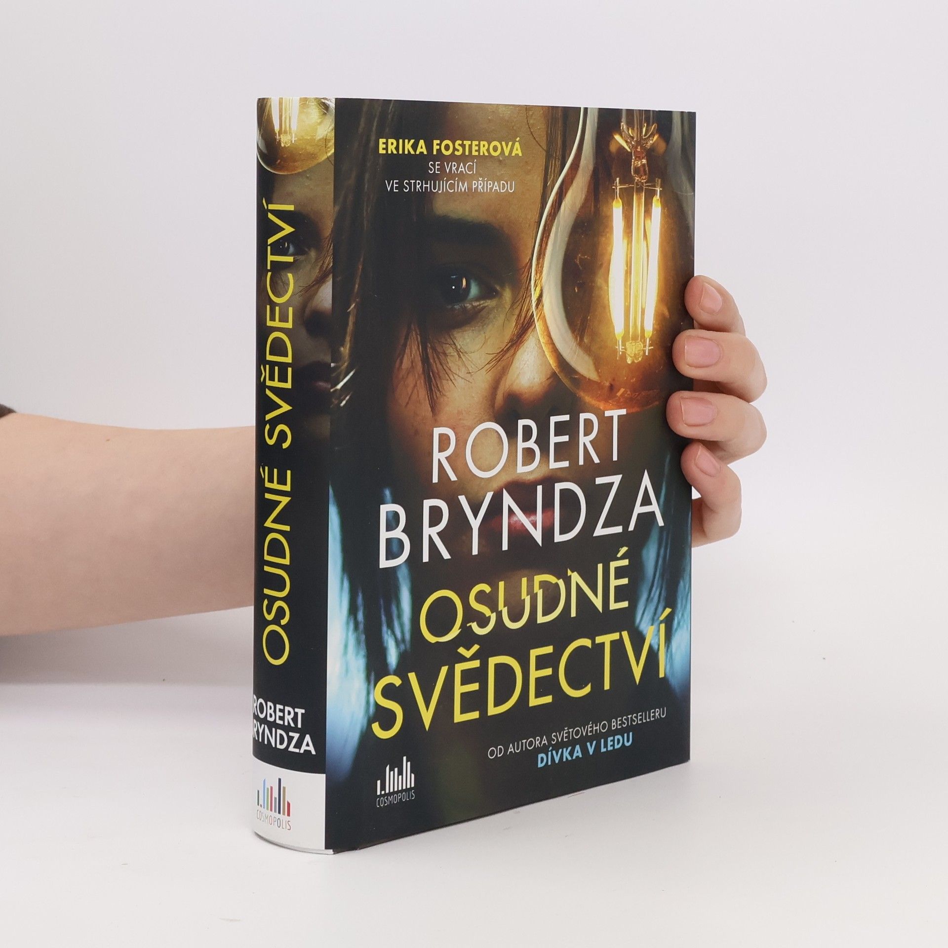 Robert Bryndza Osudné svědectví