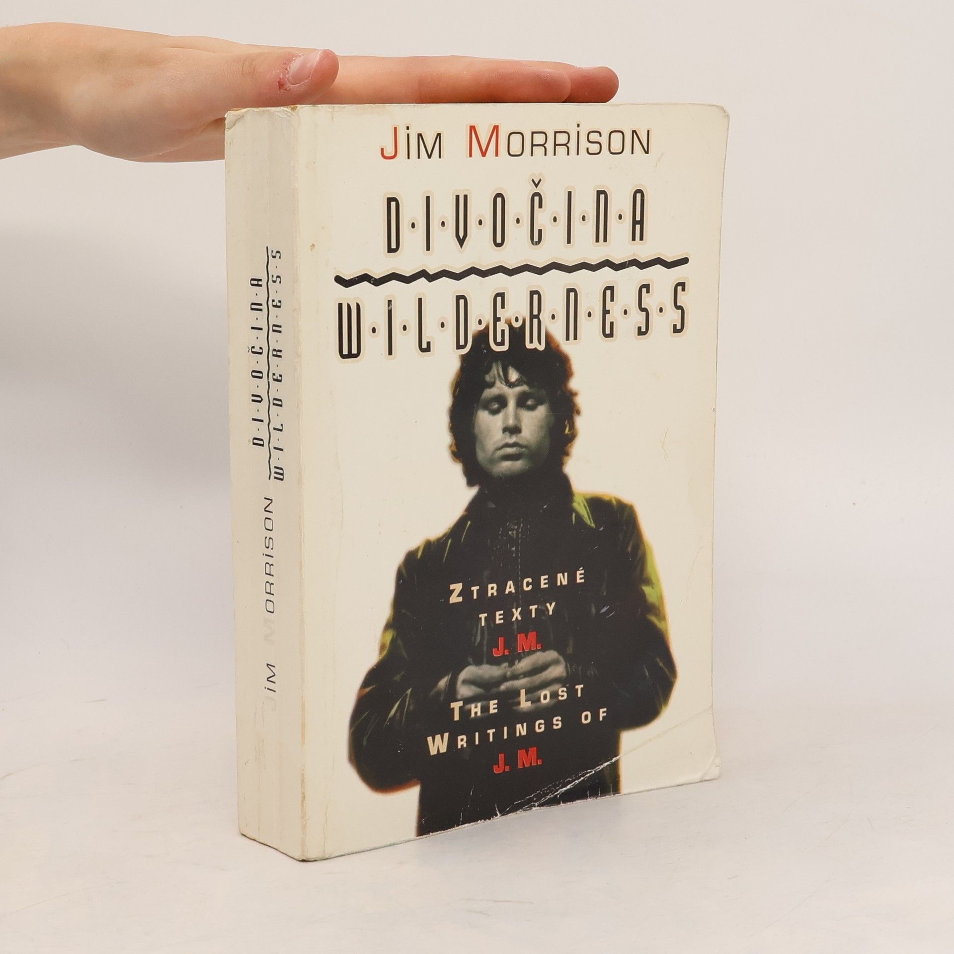 Jim Morrison Divočina. Wilderness