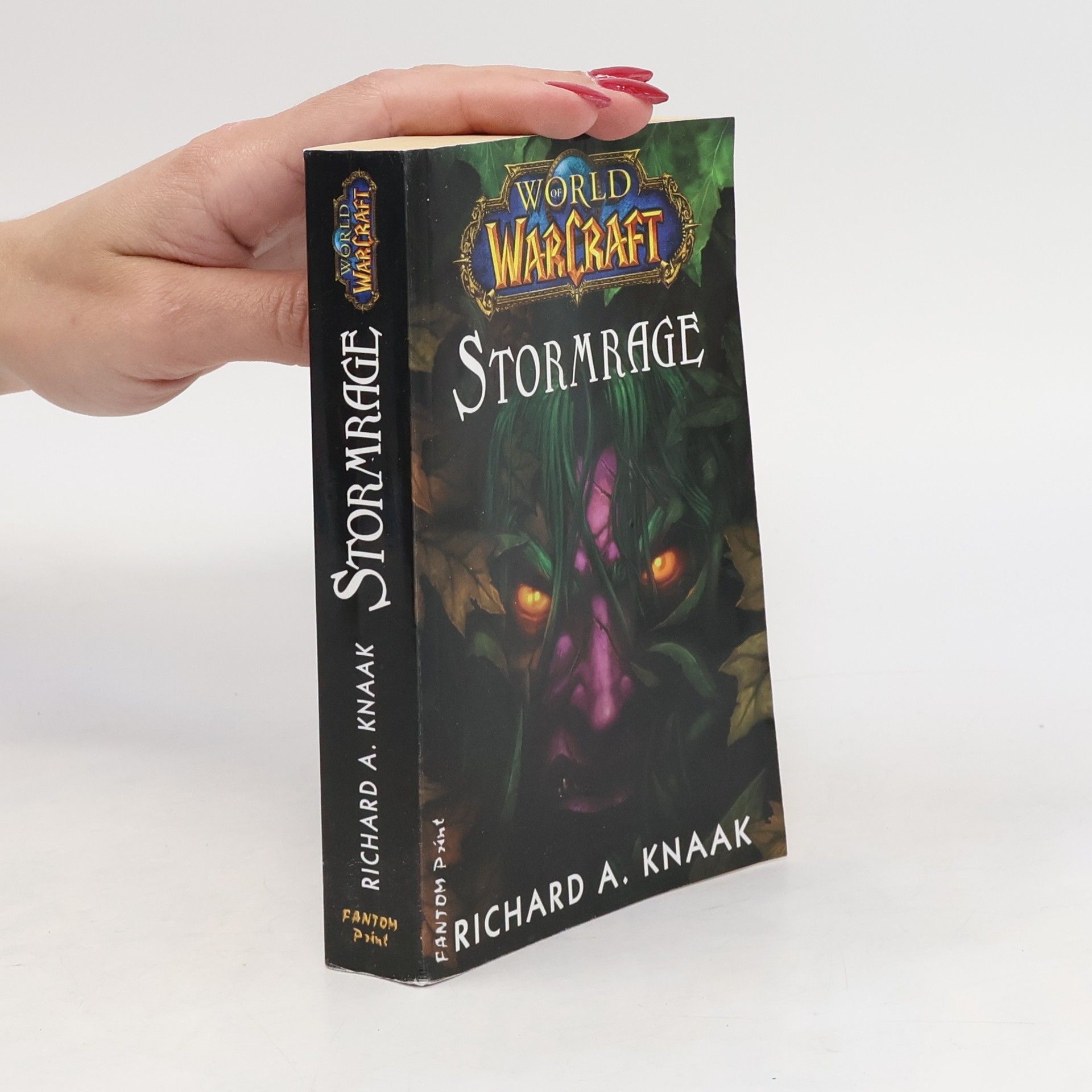 Richard A. Knaak World WarCraft. Stormrage