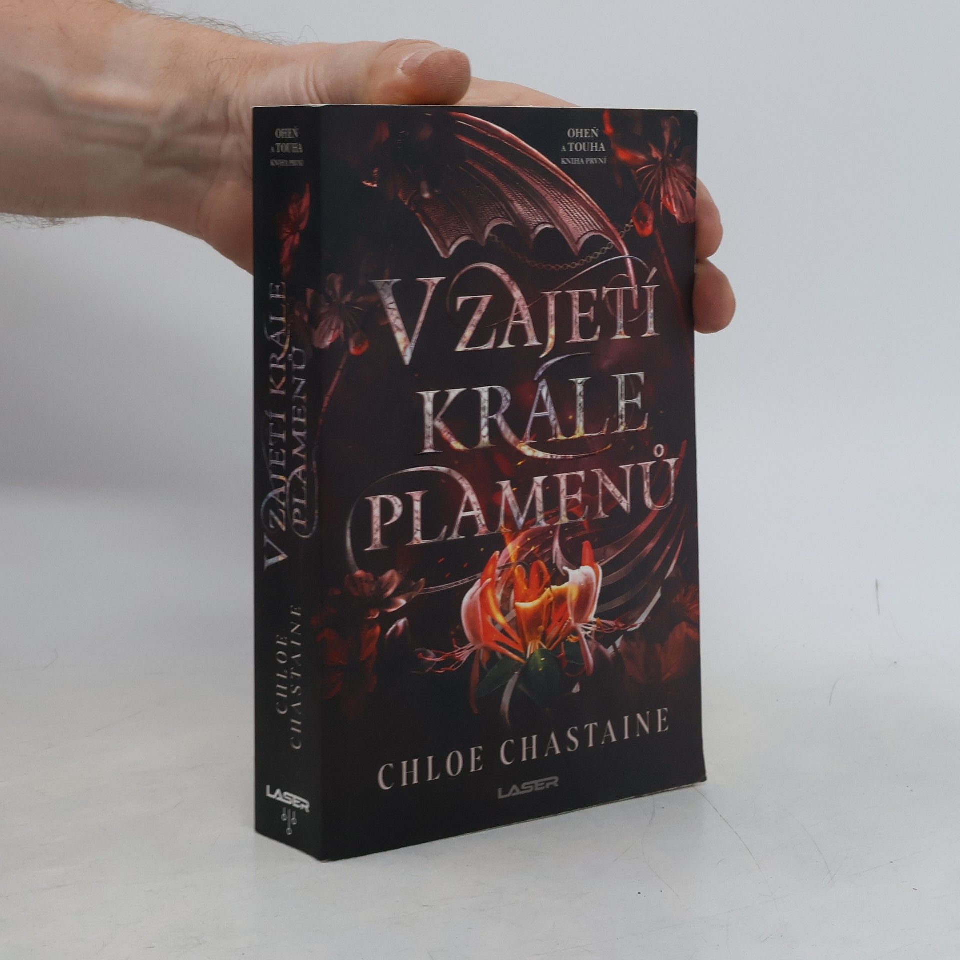V zajetí krále plamenů