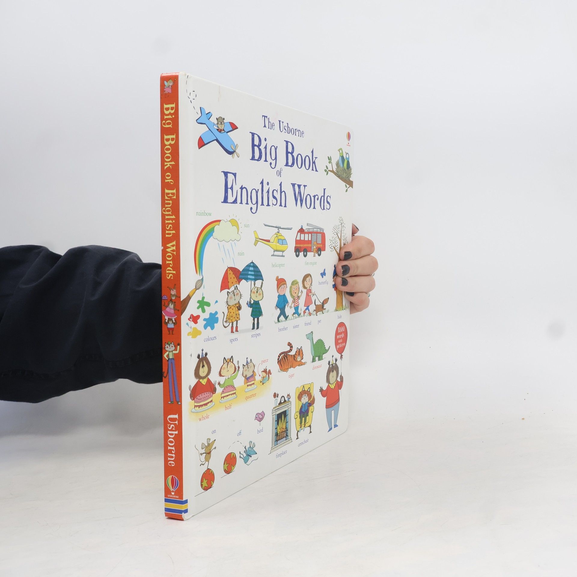 Mairi Mackinnon The Usborne Big Book of English Words
