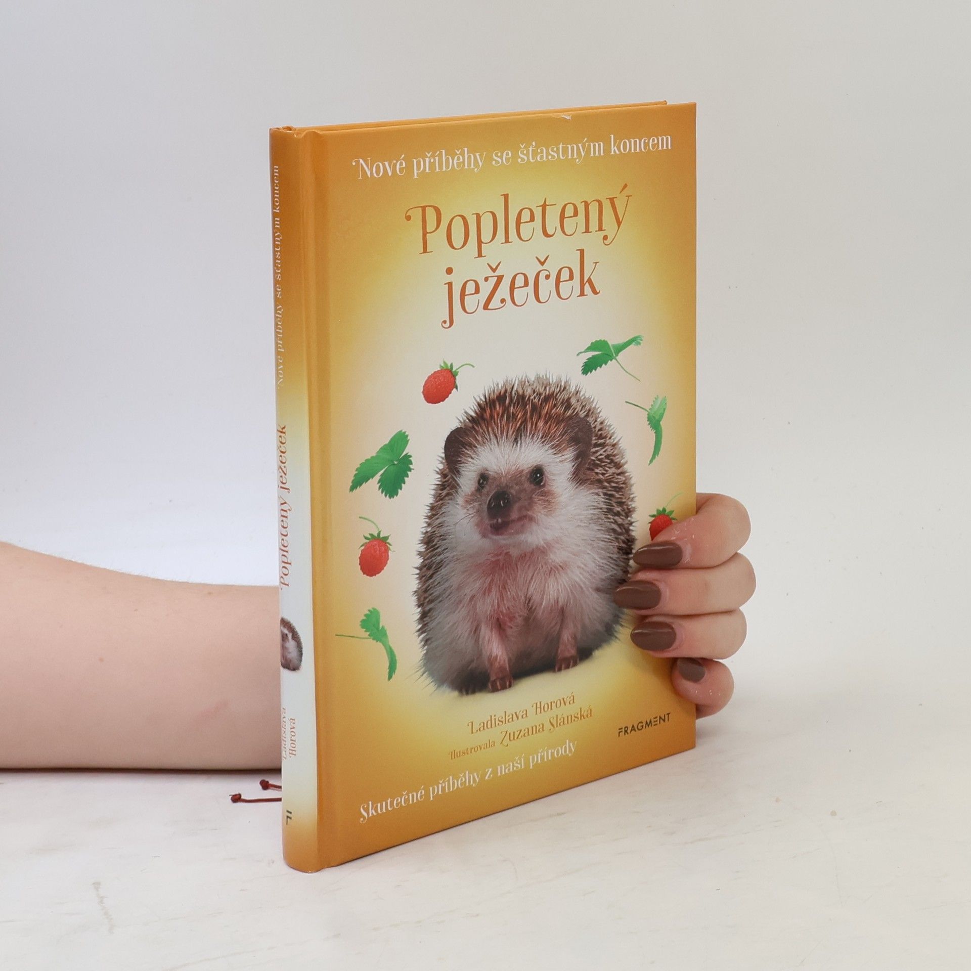 Ladislava Horová Popletený ježeček