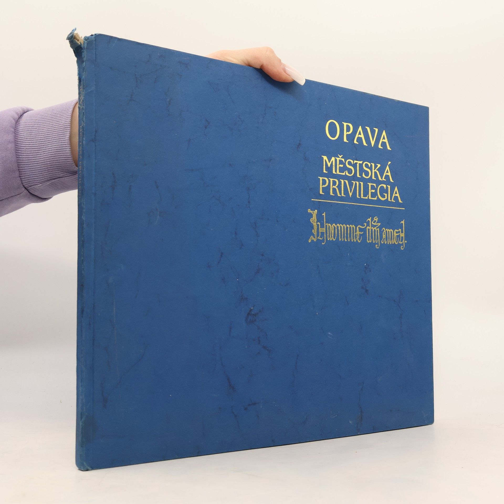 Collectif d'auteurs Opava : městská privilegia