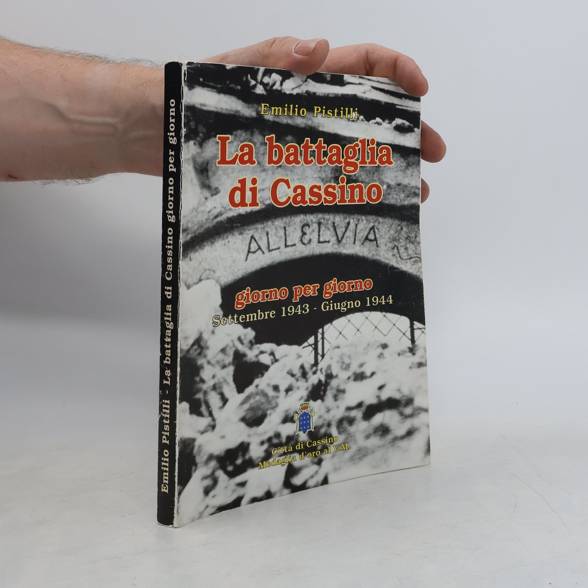 Emilio Pistilli La battaglia di Cassino giorno per giorno