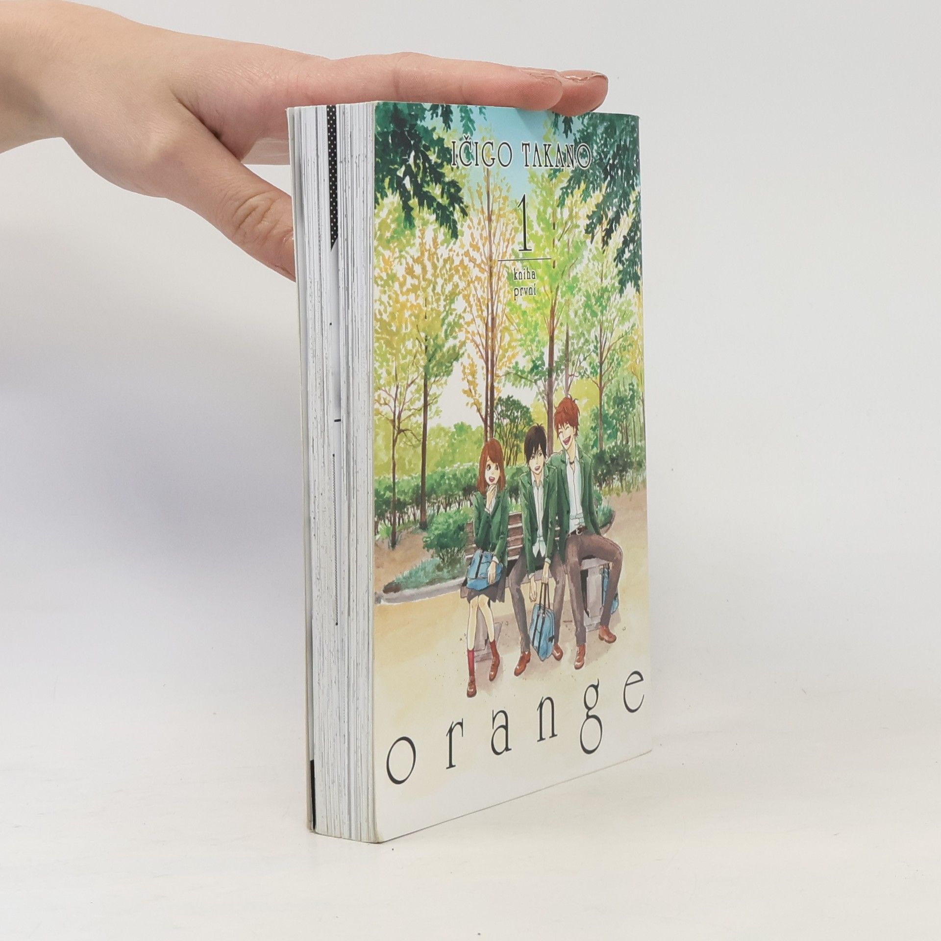 Ičigo Takano Orange 1