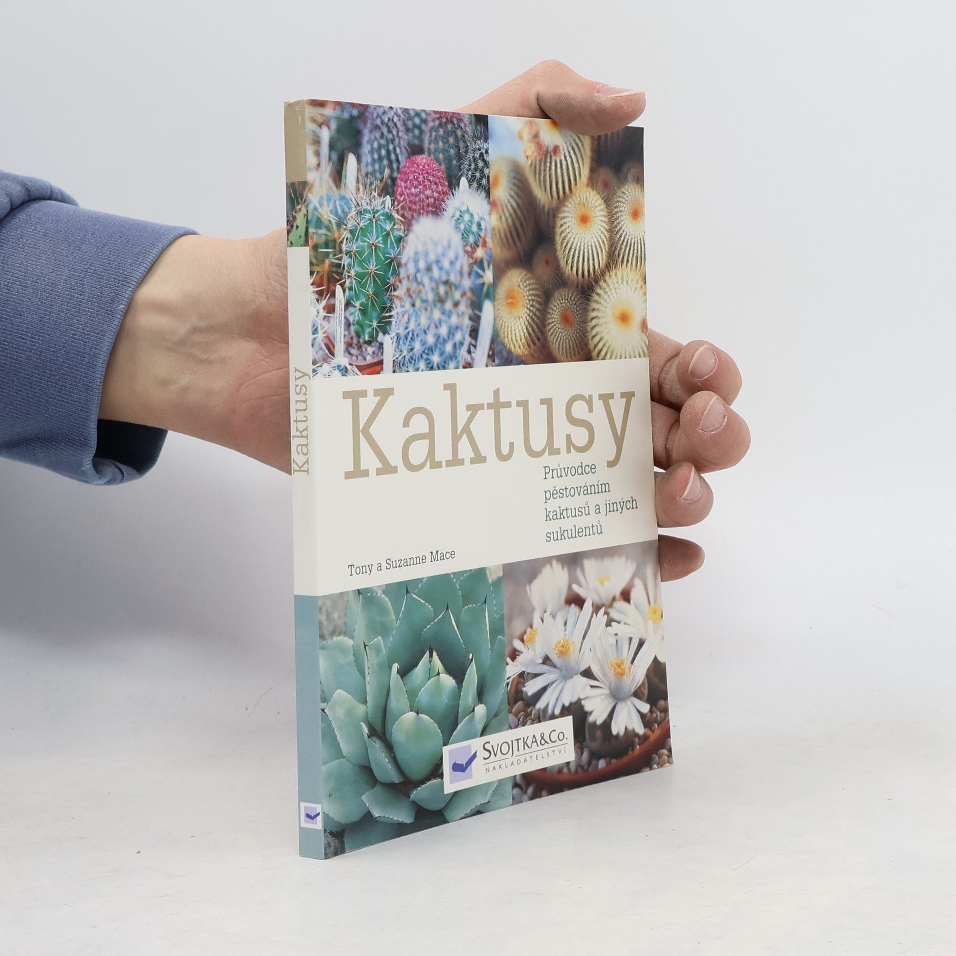 Suzanne Mace Kaktusy : průvodce pěstováním kaktusů a jiných sukulentů