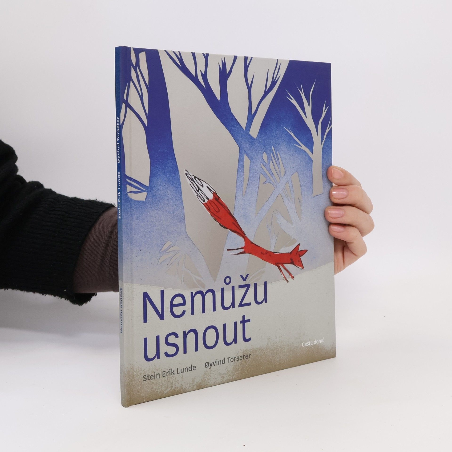 Stein Erik Lunde Nemůžu usnout