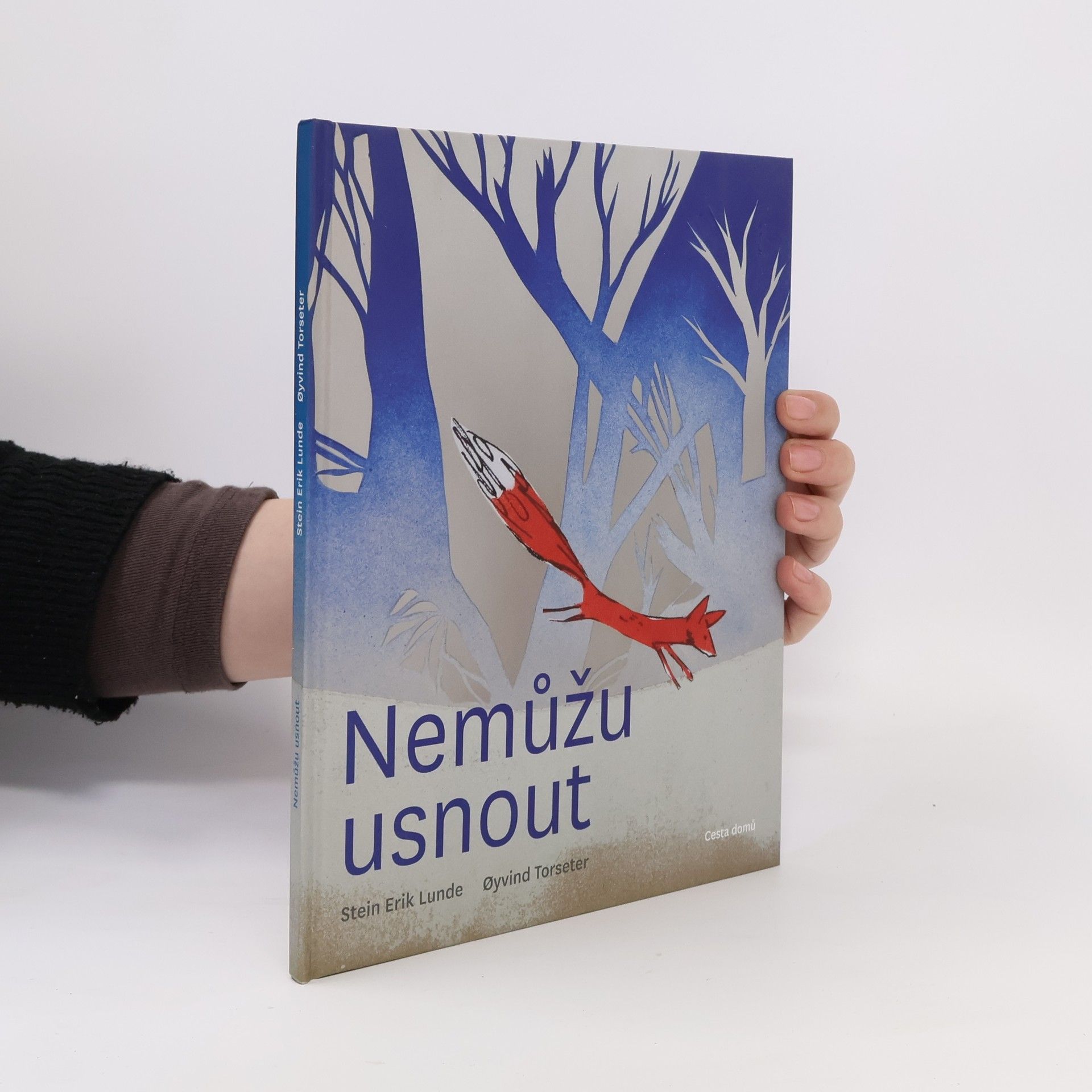 Stein Erik Lunde Nemůžu usnout