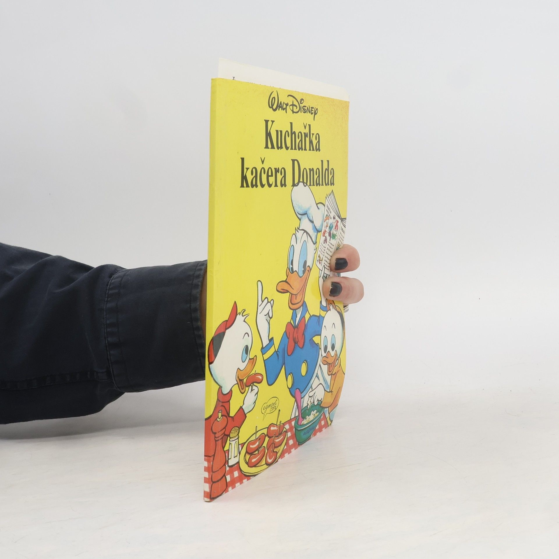 Autores varios Kuchařka kačera Donalda