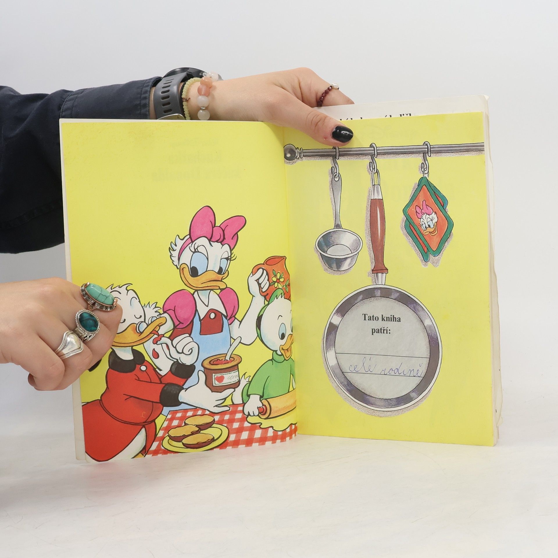 Autores varios Kuchařka kačera Donalda