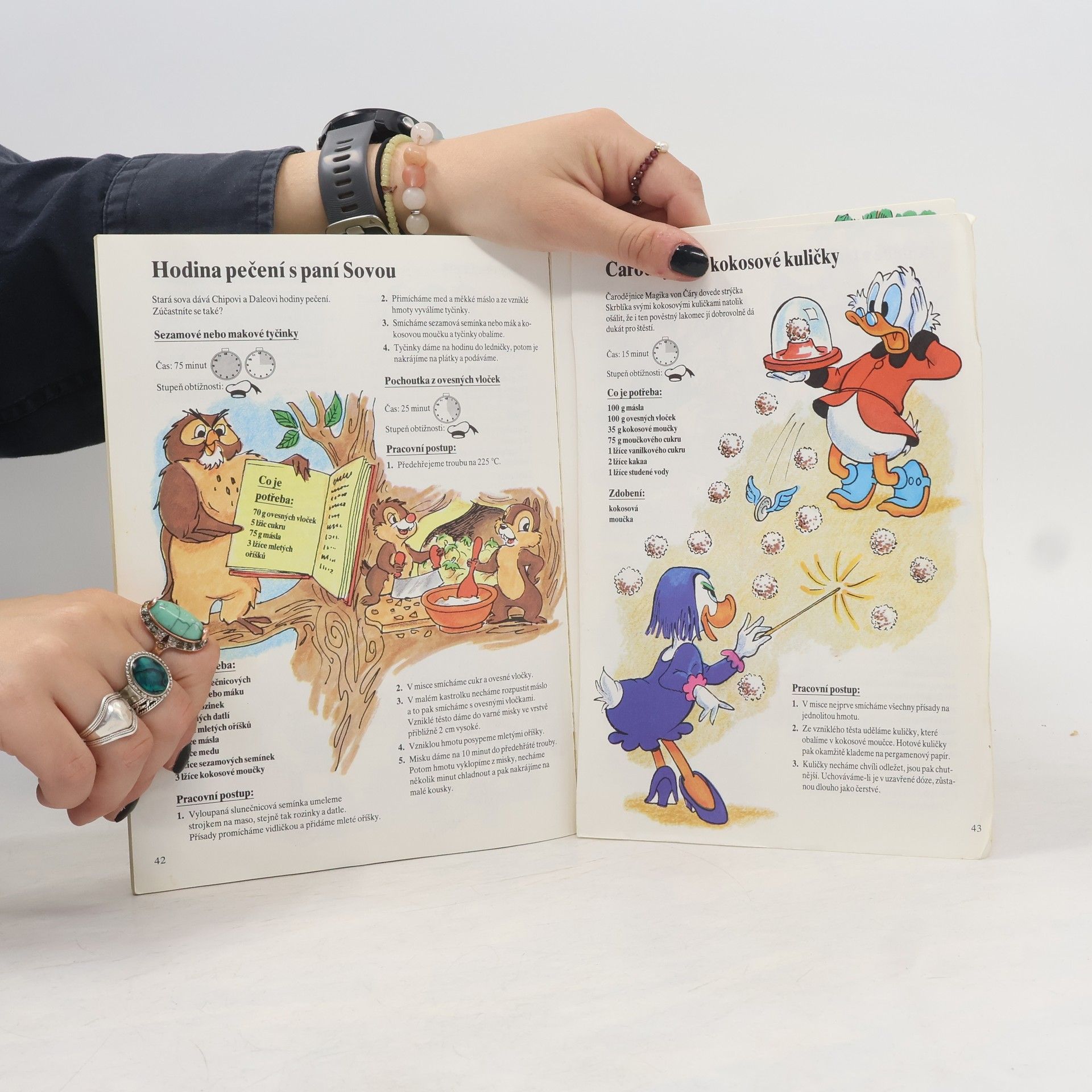 Autores varios Kuchařka kačera Donalda