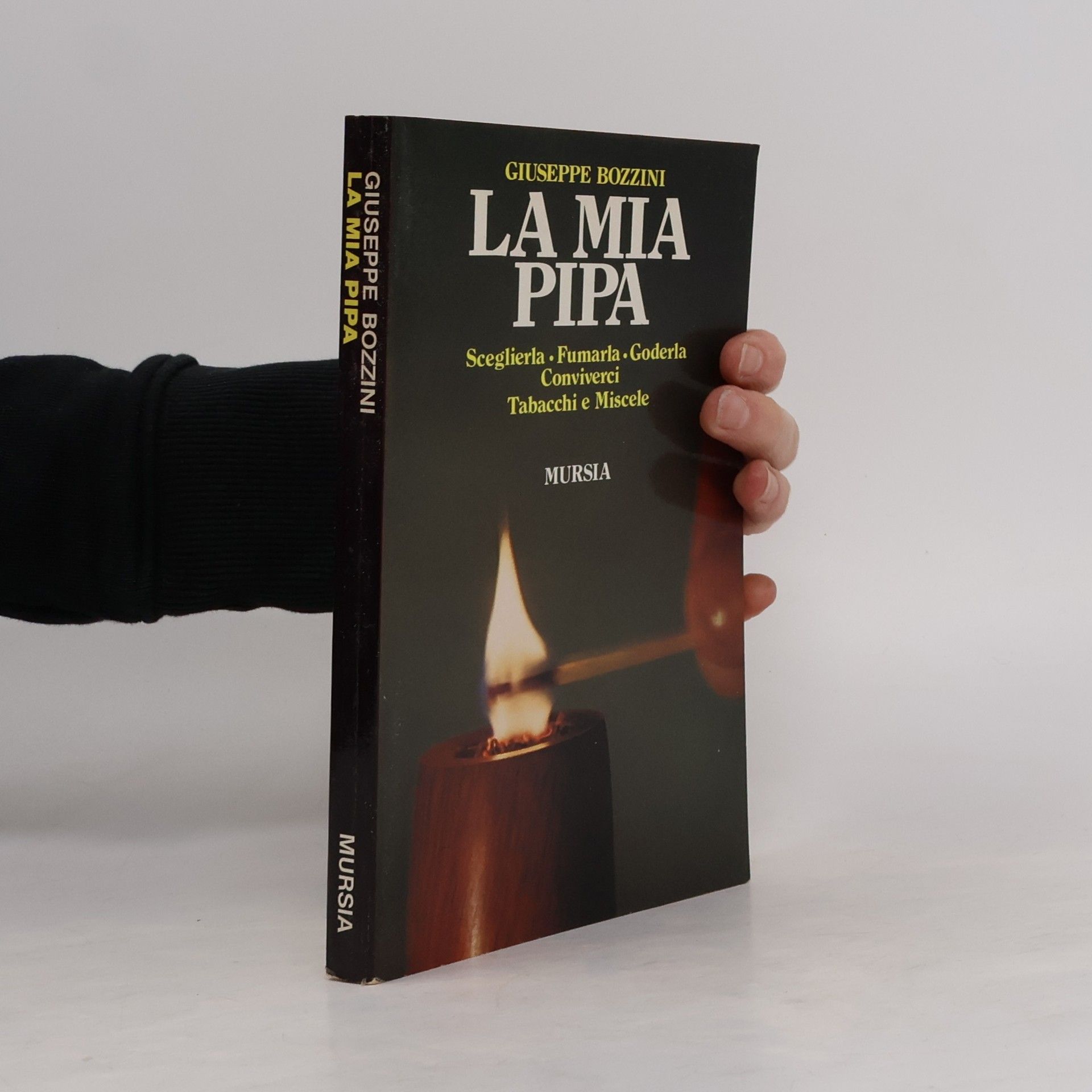 Giuseppe Bozzini La mia pipa. Sceglierla fumarla goderla conviverci. Tabacchi e miscele