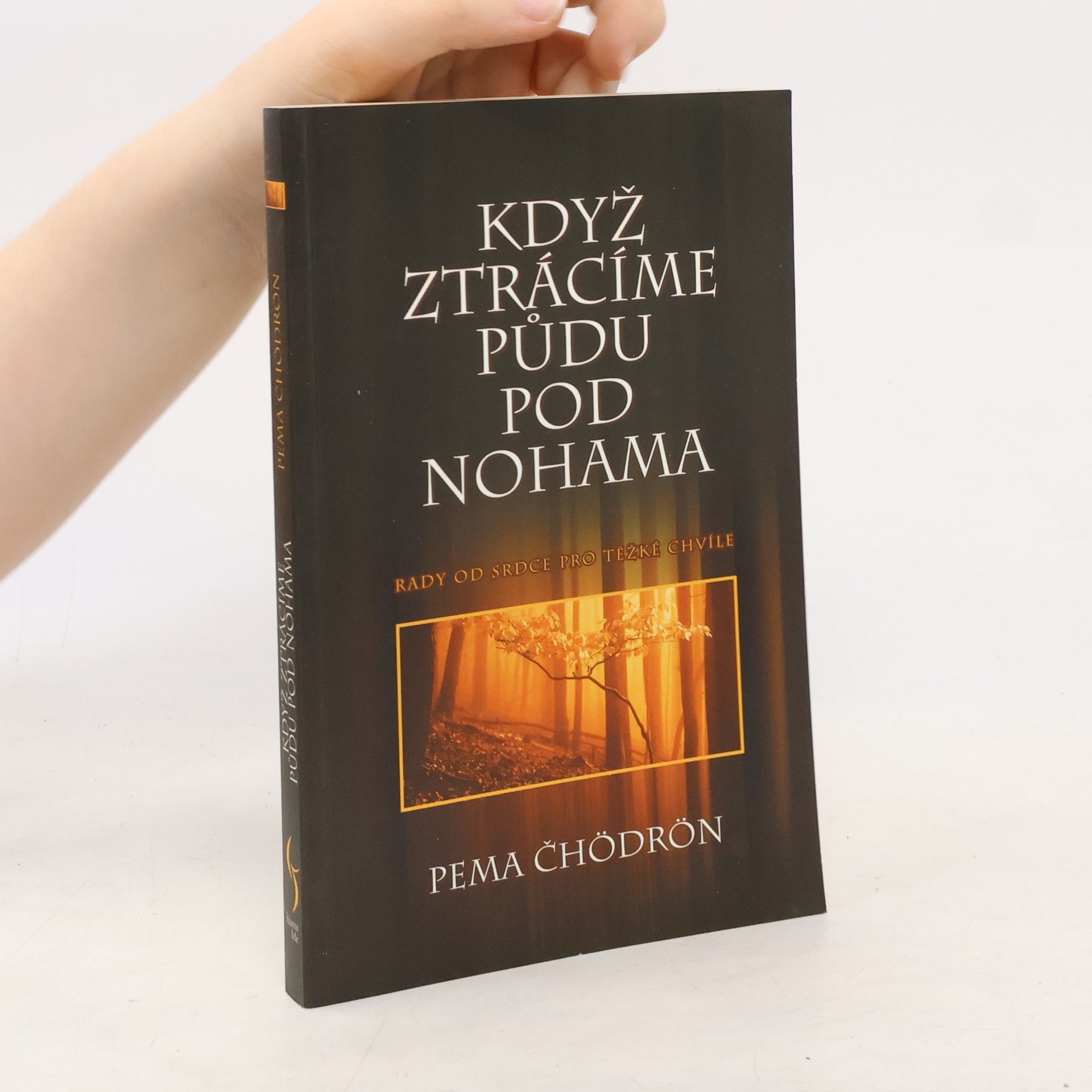 Pema Chödrön Když ztrácíme půdu pod nohama