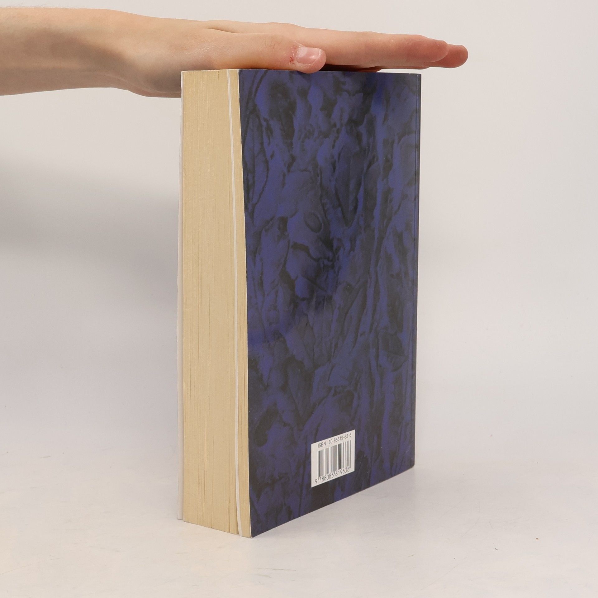 Maurice Nadeau Dějiny surrealismu a surrealistické dokumenty