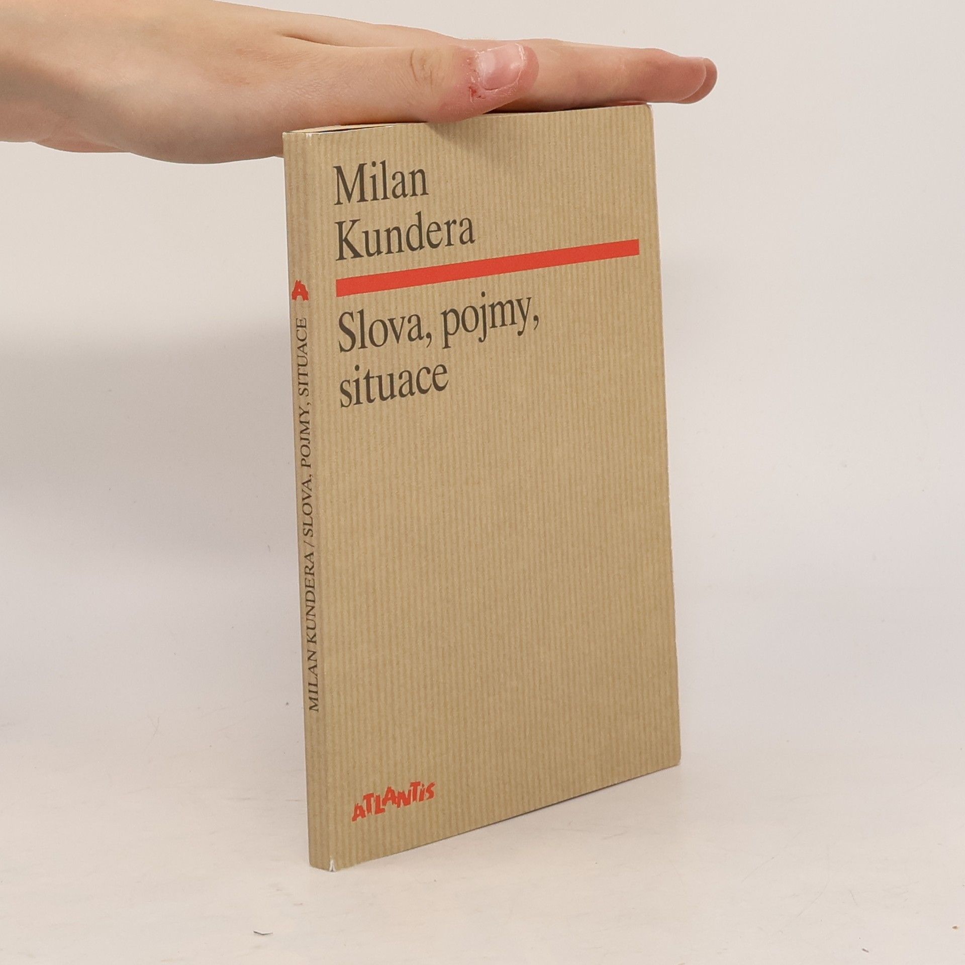 Milan Kundera Slova, pojmy, situace