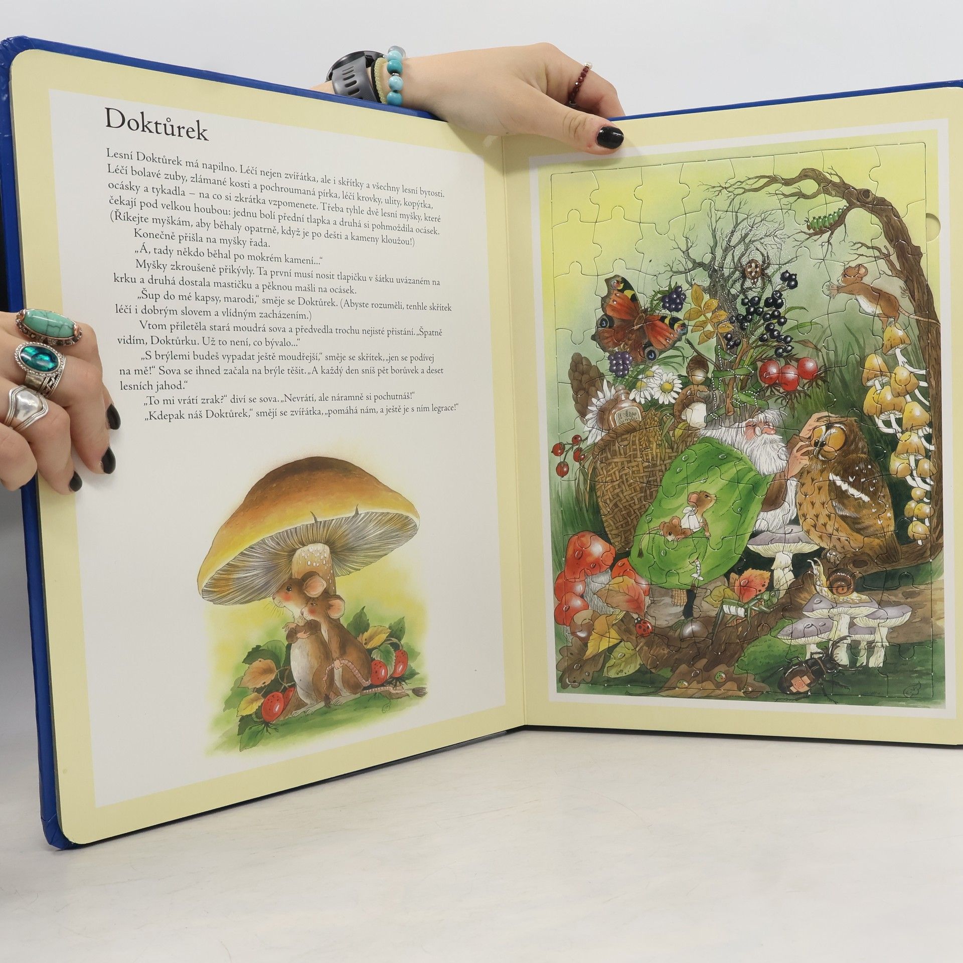 Vogl Christl Pohádkový svět skřítků : čtyři puzzle s 80 dílky