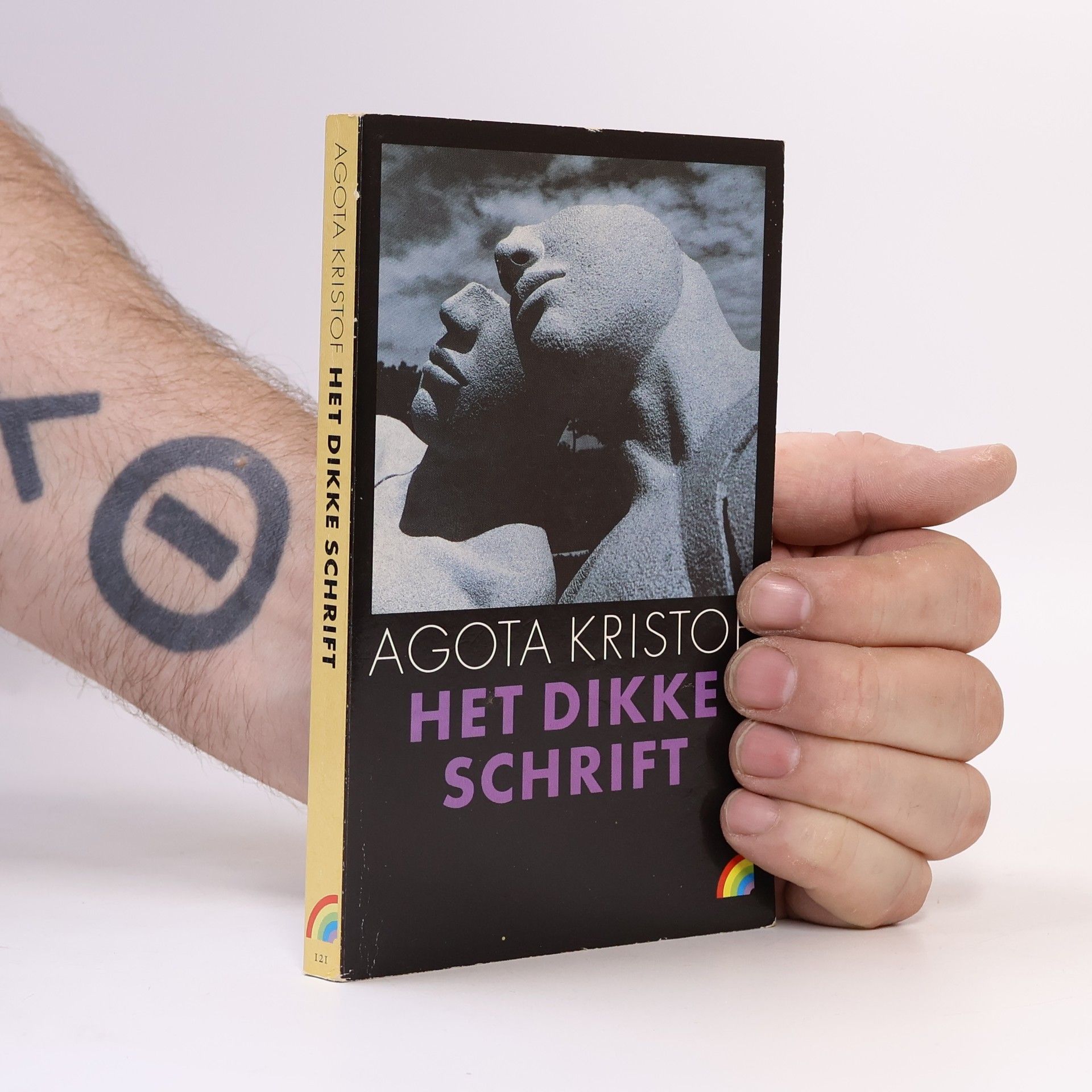 Henne van der Kooy Het dikke schrift