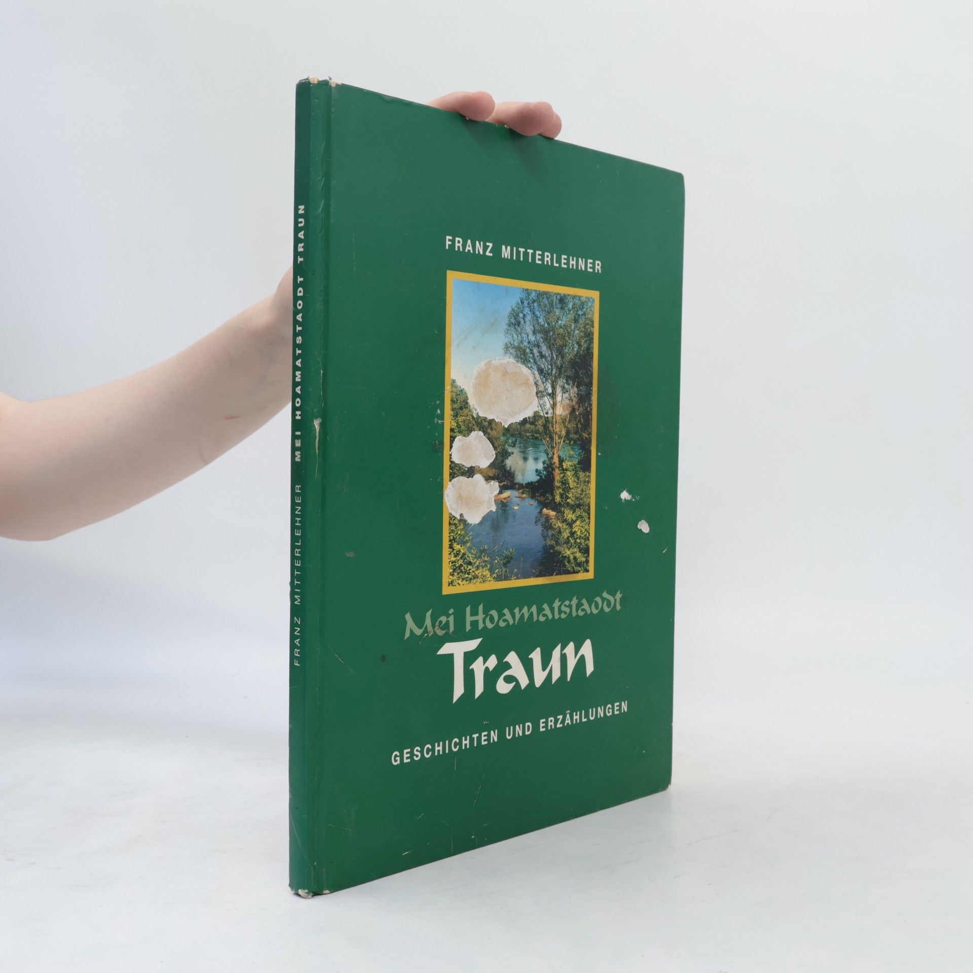 Franz Mitterlehner Mei Hoamatstaodt Traun