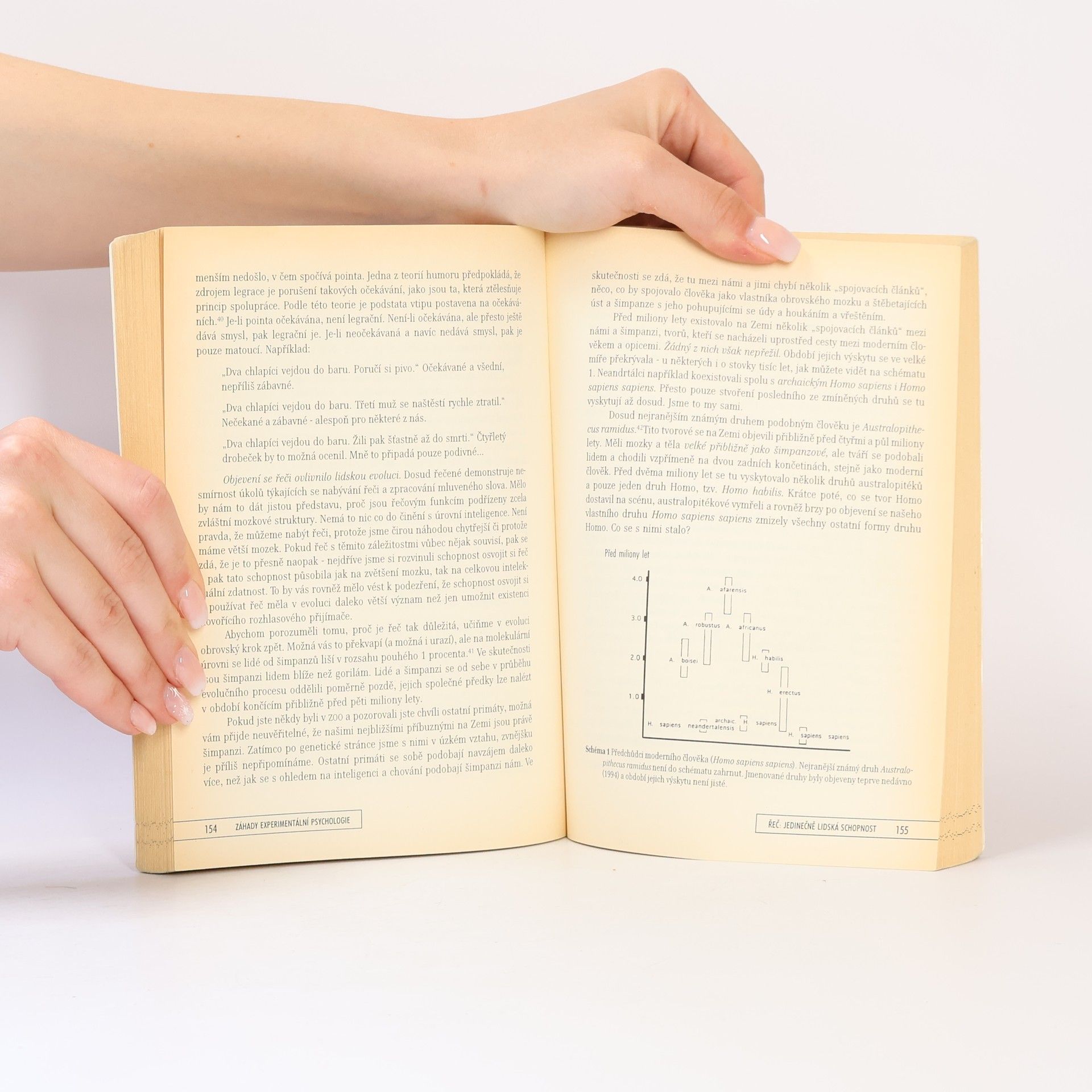 Denise D. Cummins Záhady experimentální psychologie : co psychologové zjistili o myšlení, citech a chování člověka