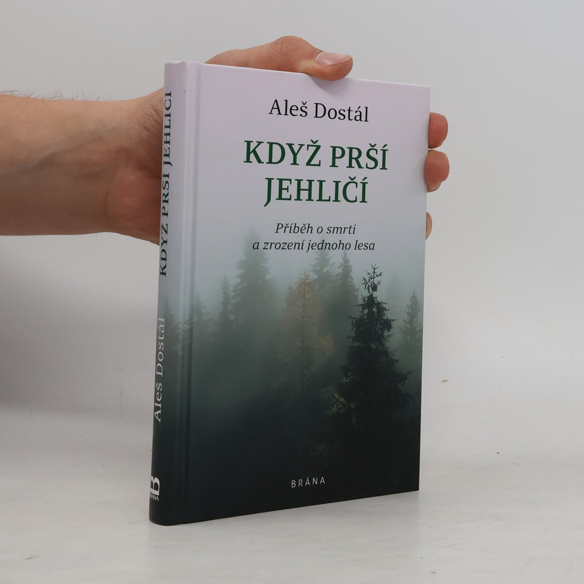 Aleš Dostál Když prší jehličí : příběh o smrti a zrození jednoho lesa