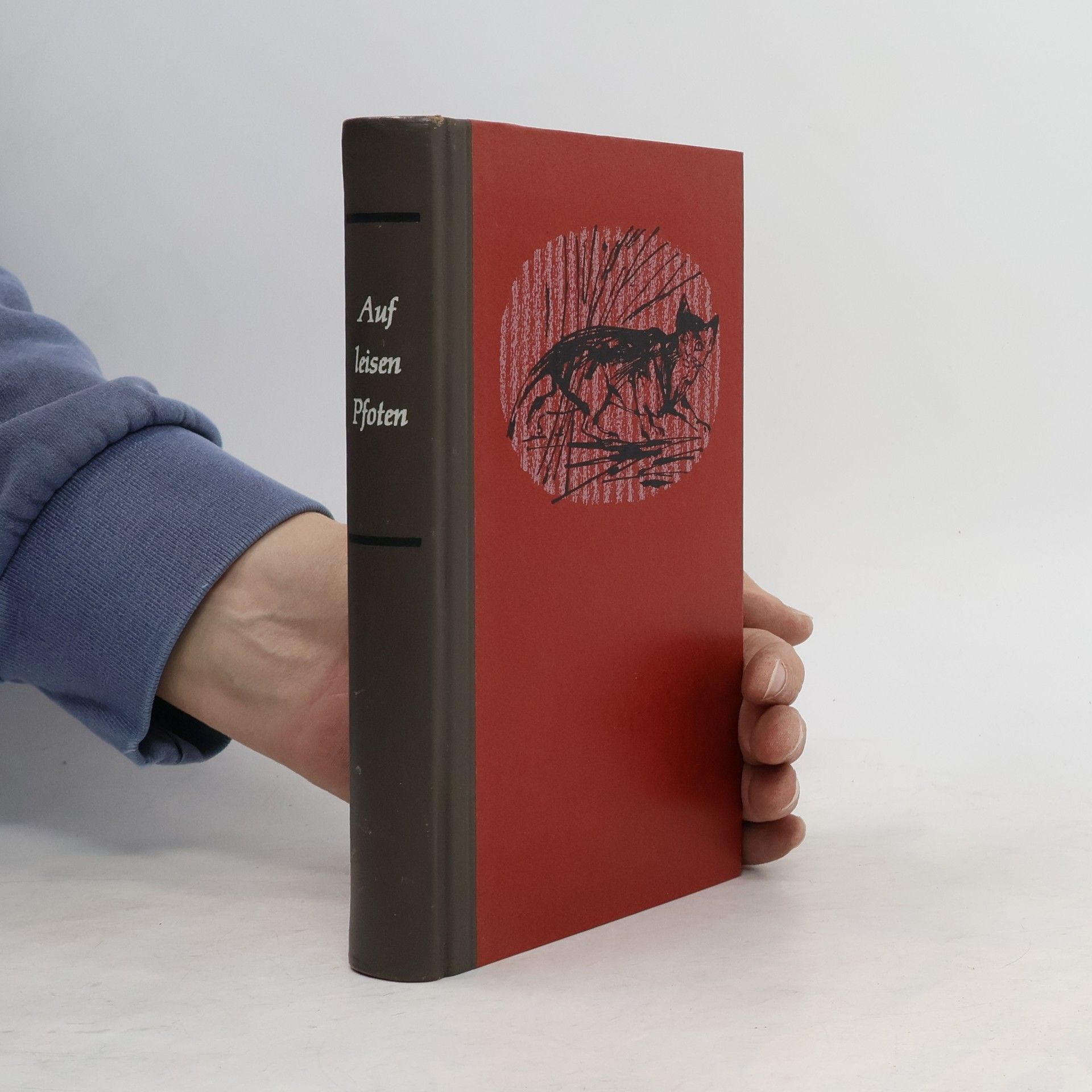 Autores varios Auf leisen Pfoten