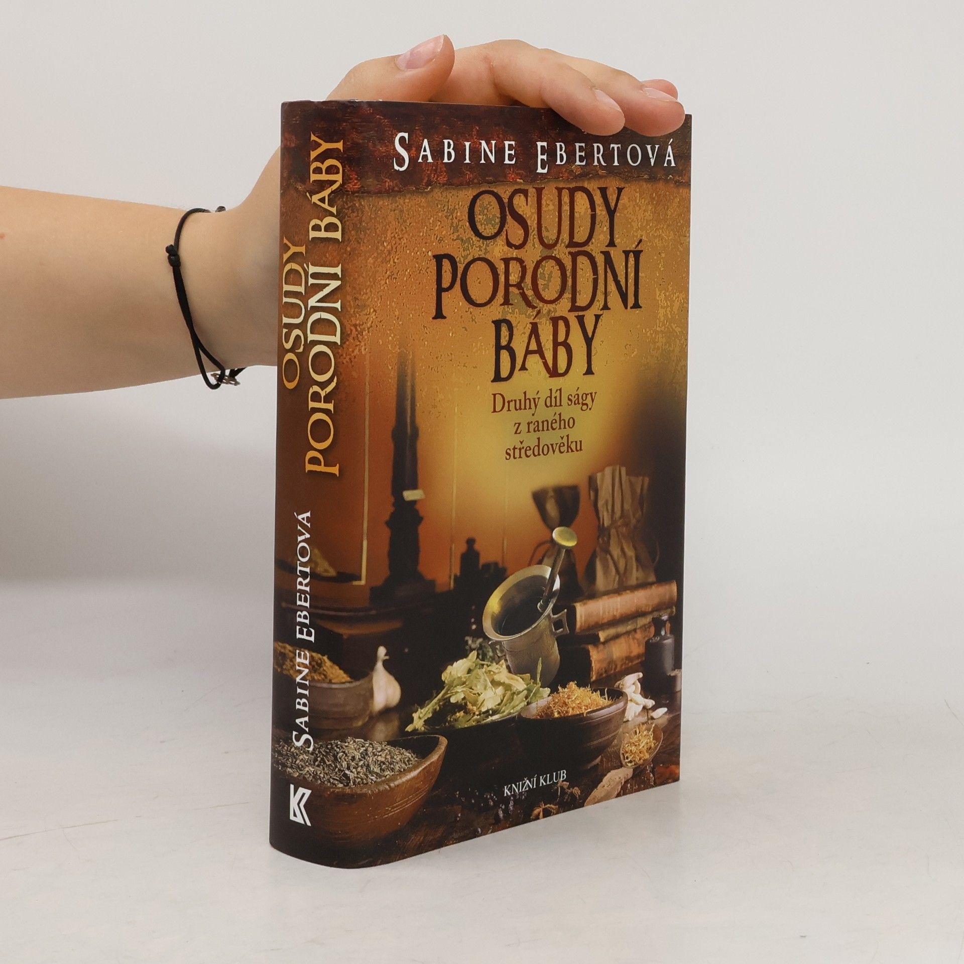 Sabine Ebert Osudy porodní báby