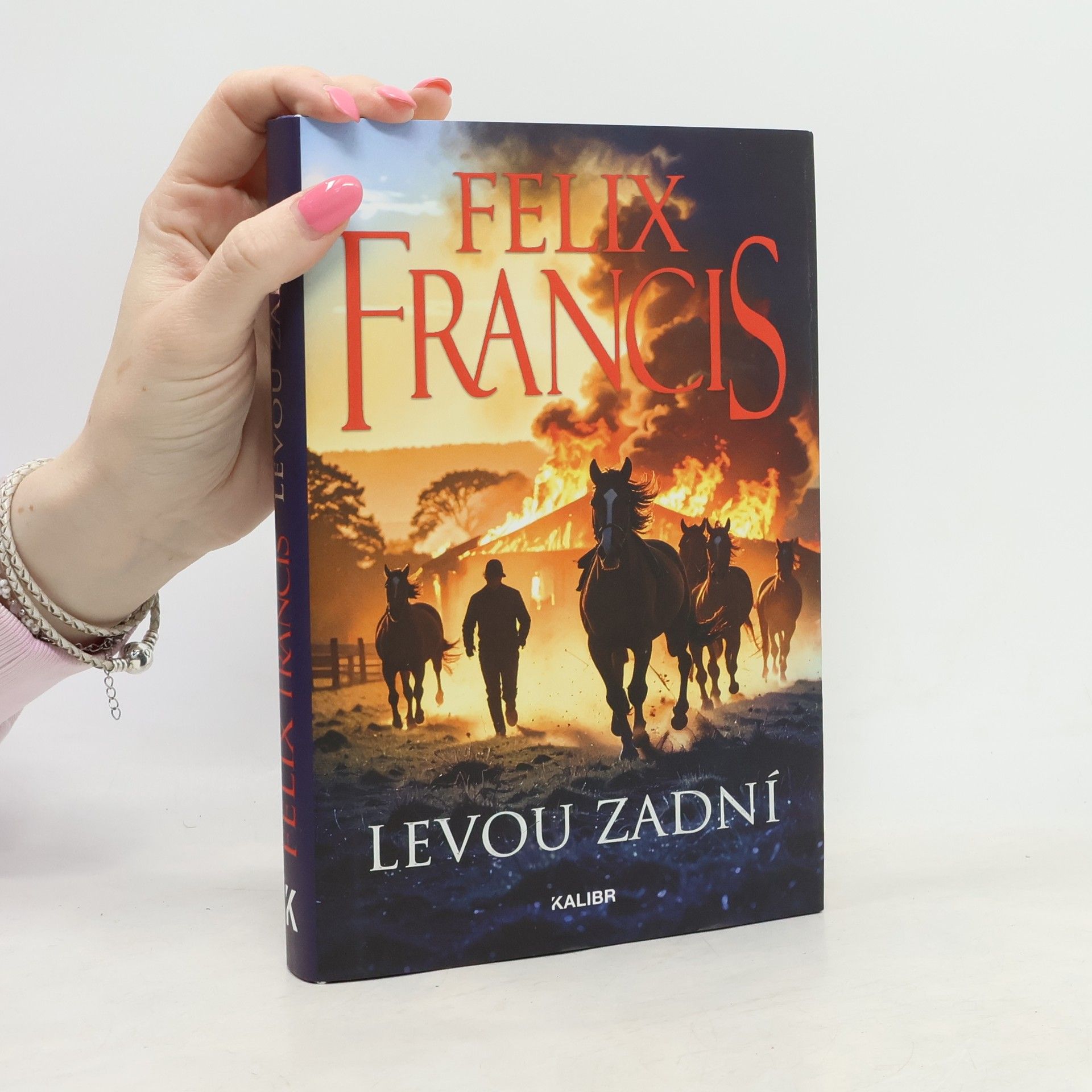 Levou zadní