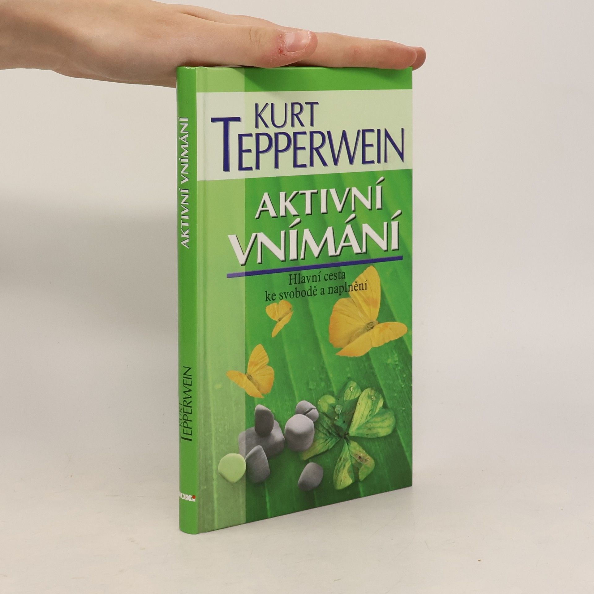 Kurt Tepperwein Aktivní vnímání. Hlavní cesta ke svobodě a naplnění