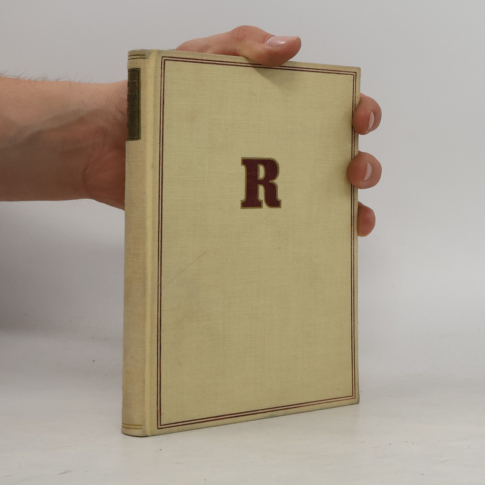 Romain Rolland Okouzlená duše VII. Zvěstovatelka Díl 3. Zrození II