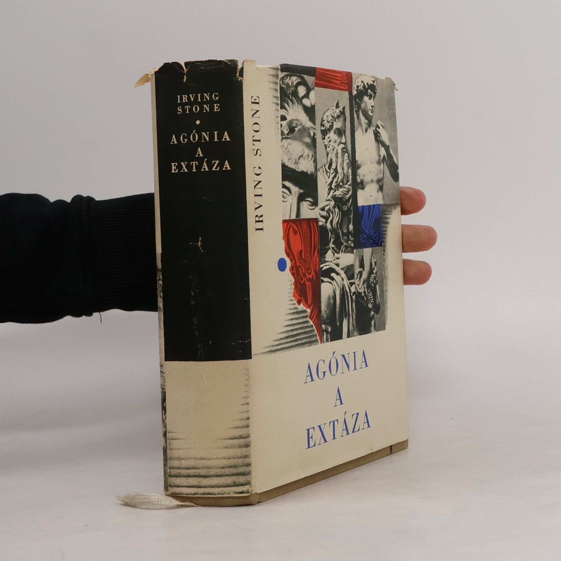 Irving Stone Agónia a extáza
